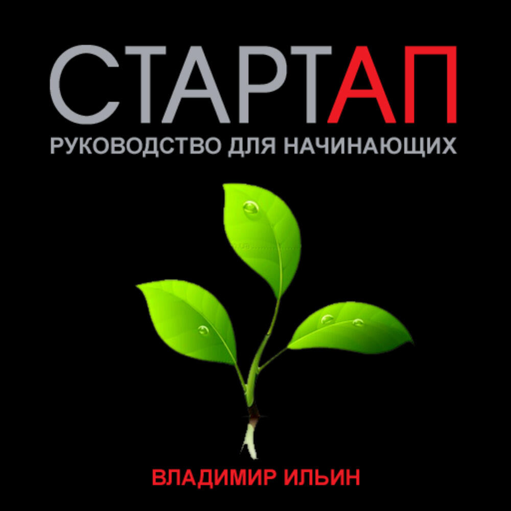 Книга Стартап. Руководство для начинающих