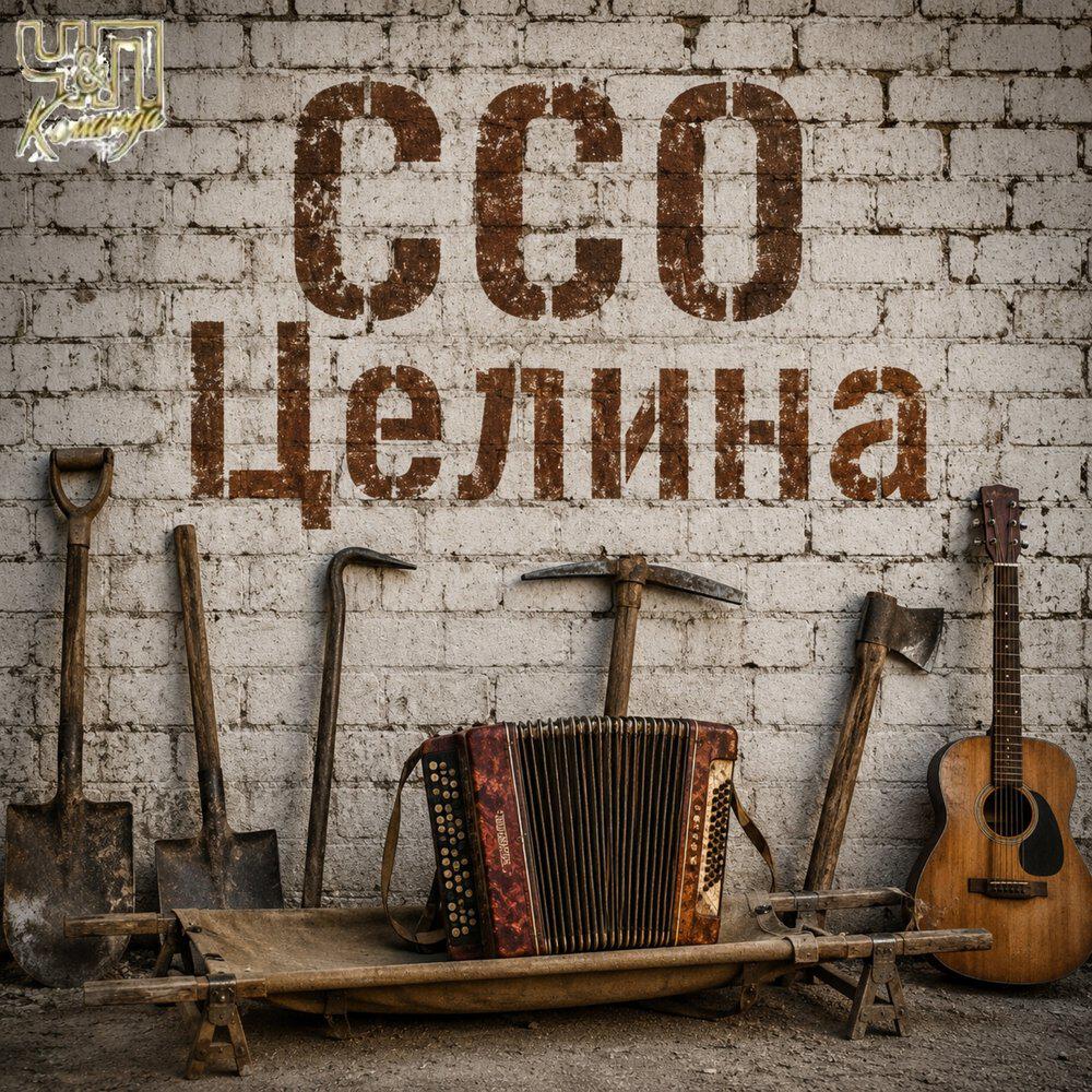 Релиз ССО Целина