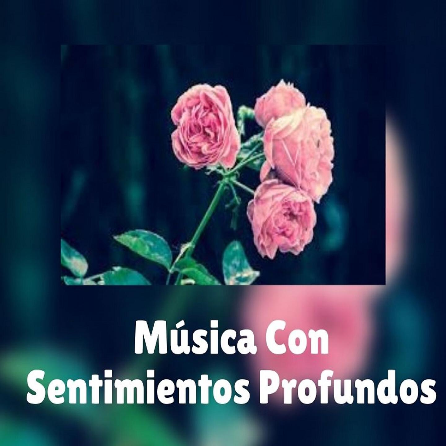 Релиз Música Con Sentimientos Profundos