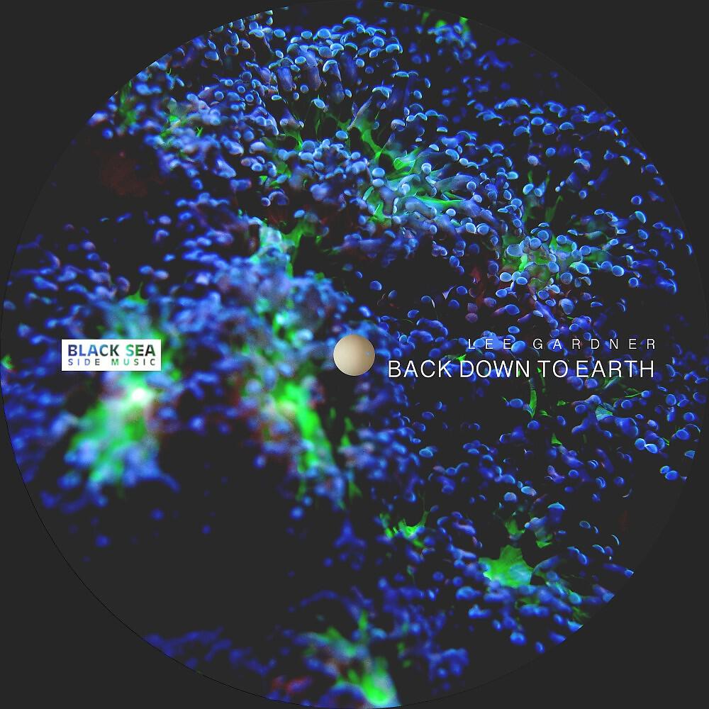 Релиз Back Down to Earth