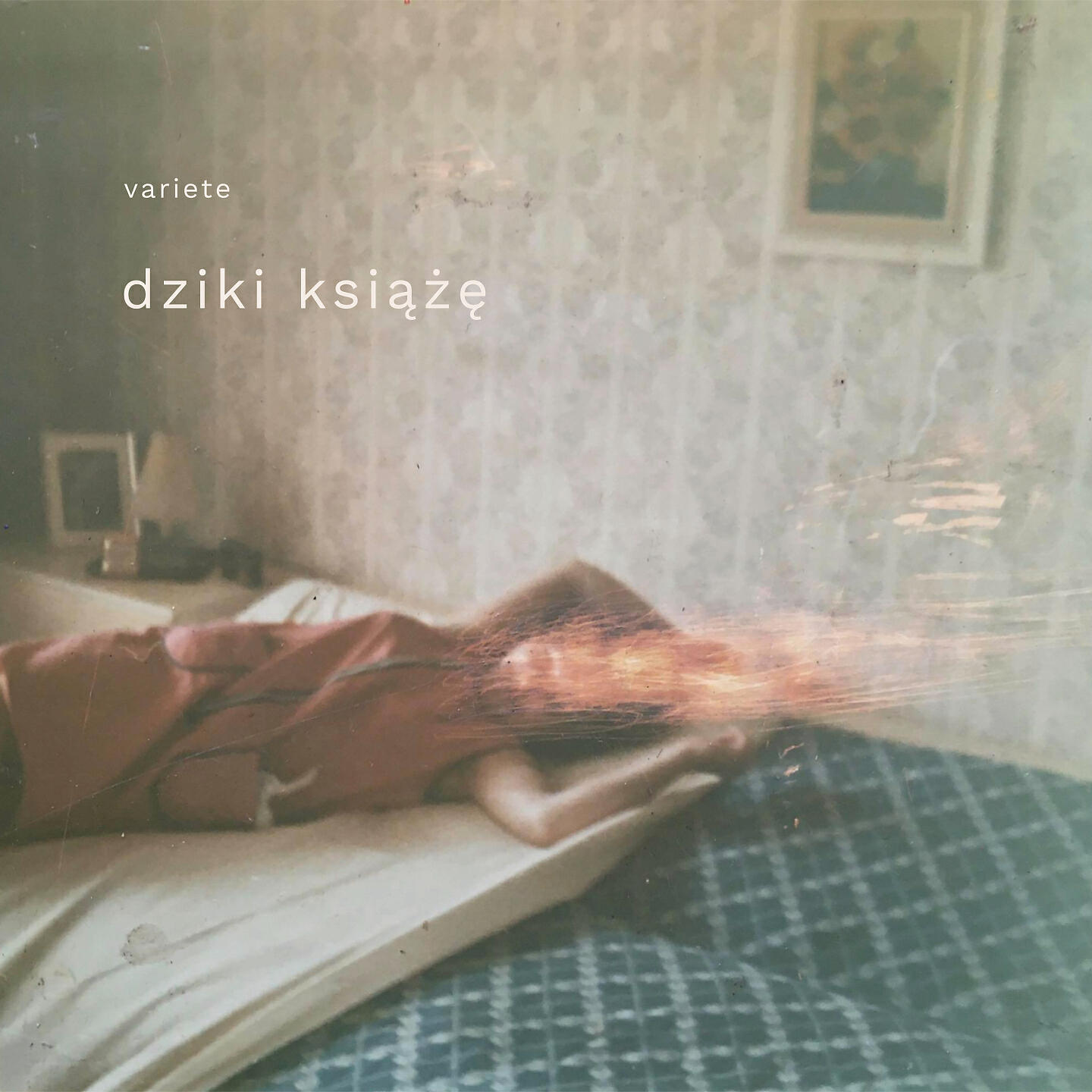 Релиз dziki książę