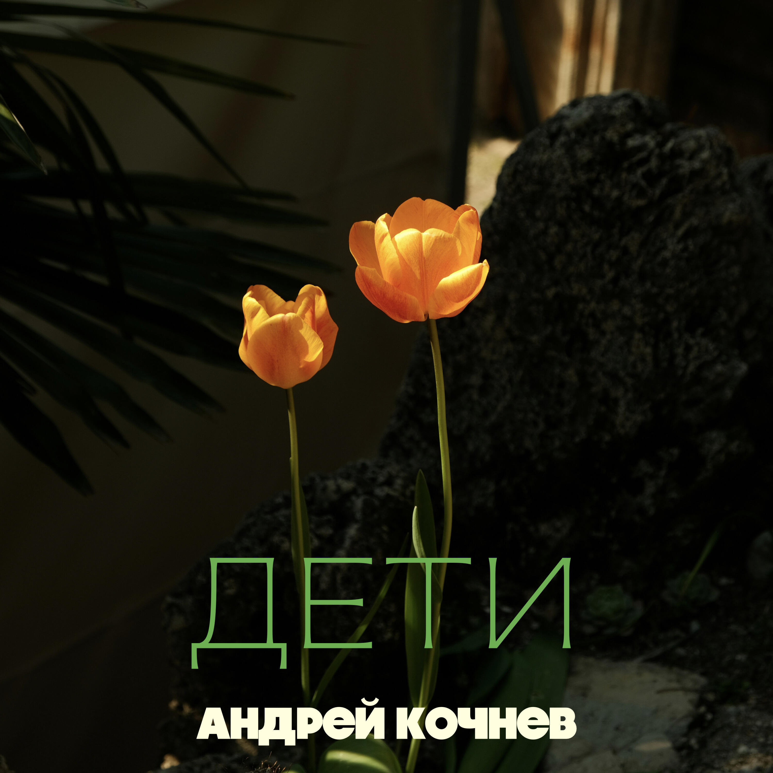 Релиз Дети
