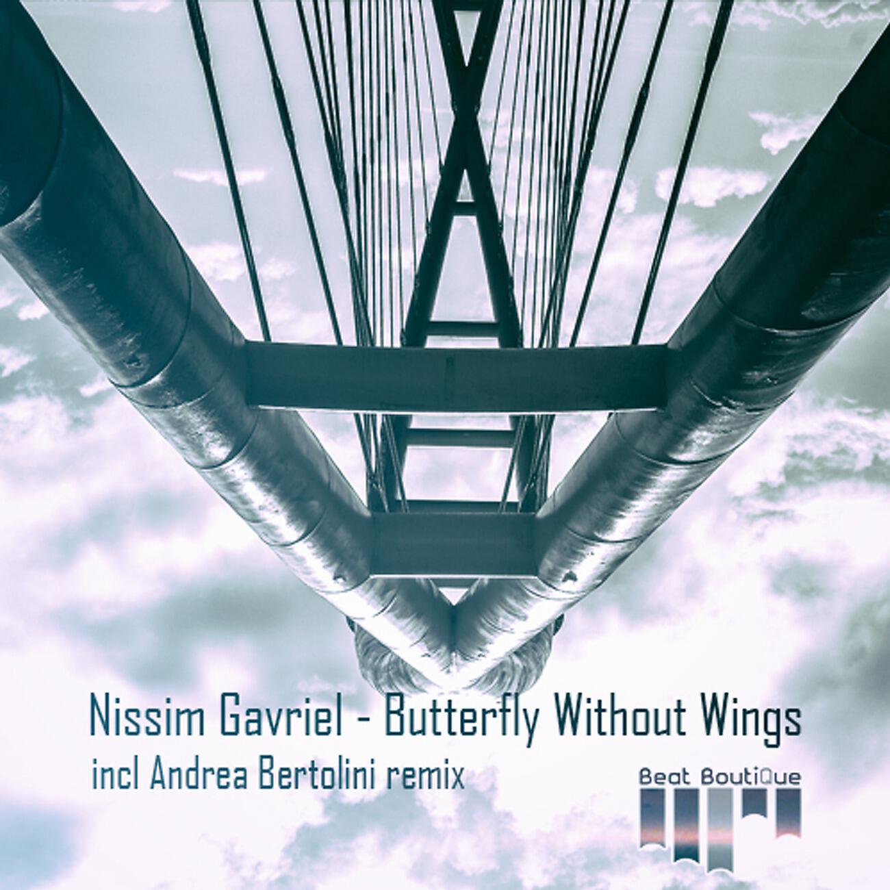 Релиз Butterfly Without Wings