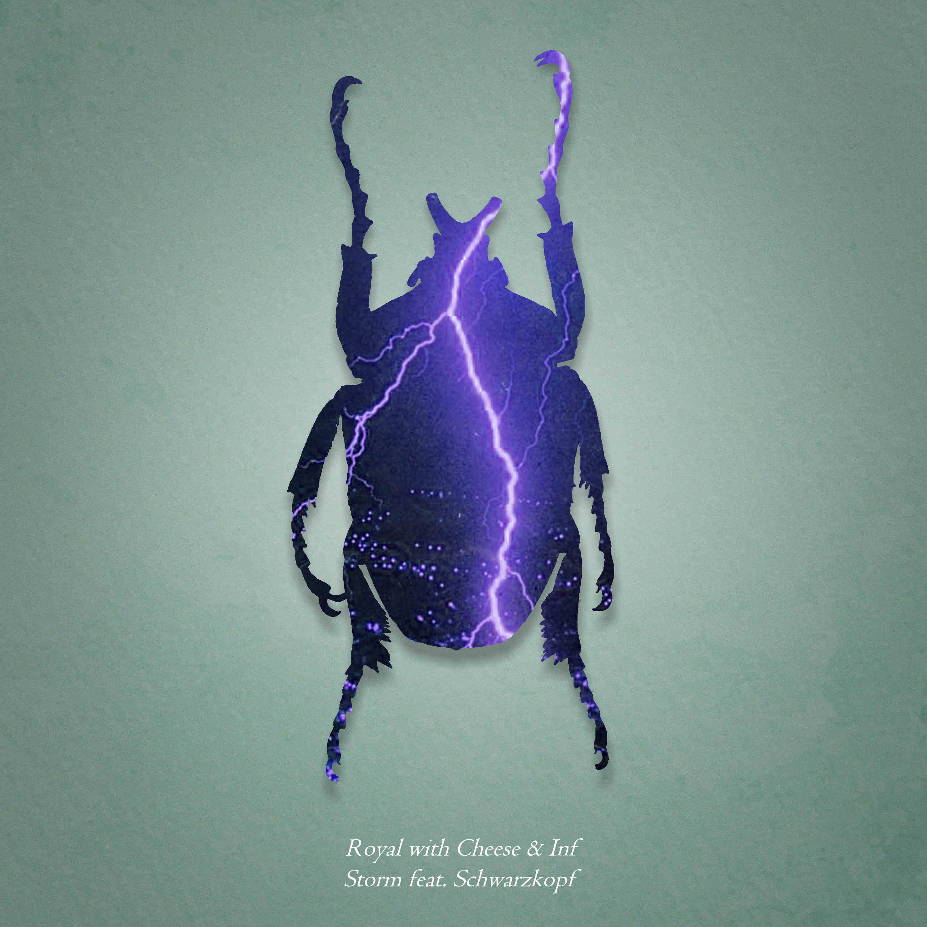 Релиз Storm