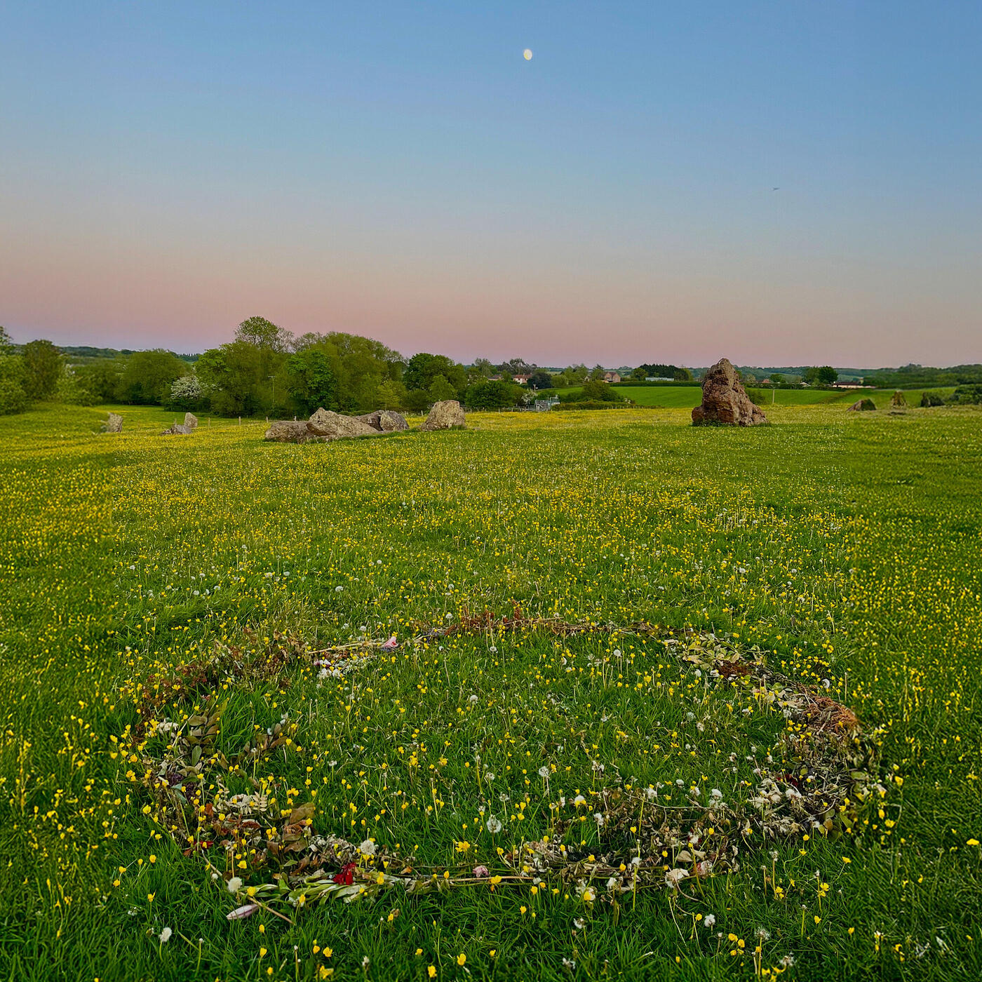 Wild Garlic Island