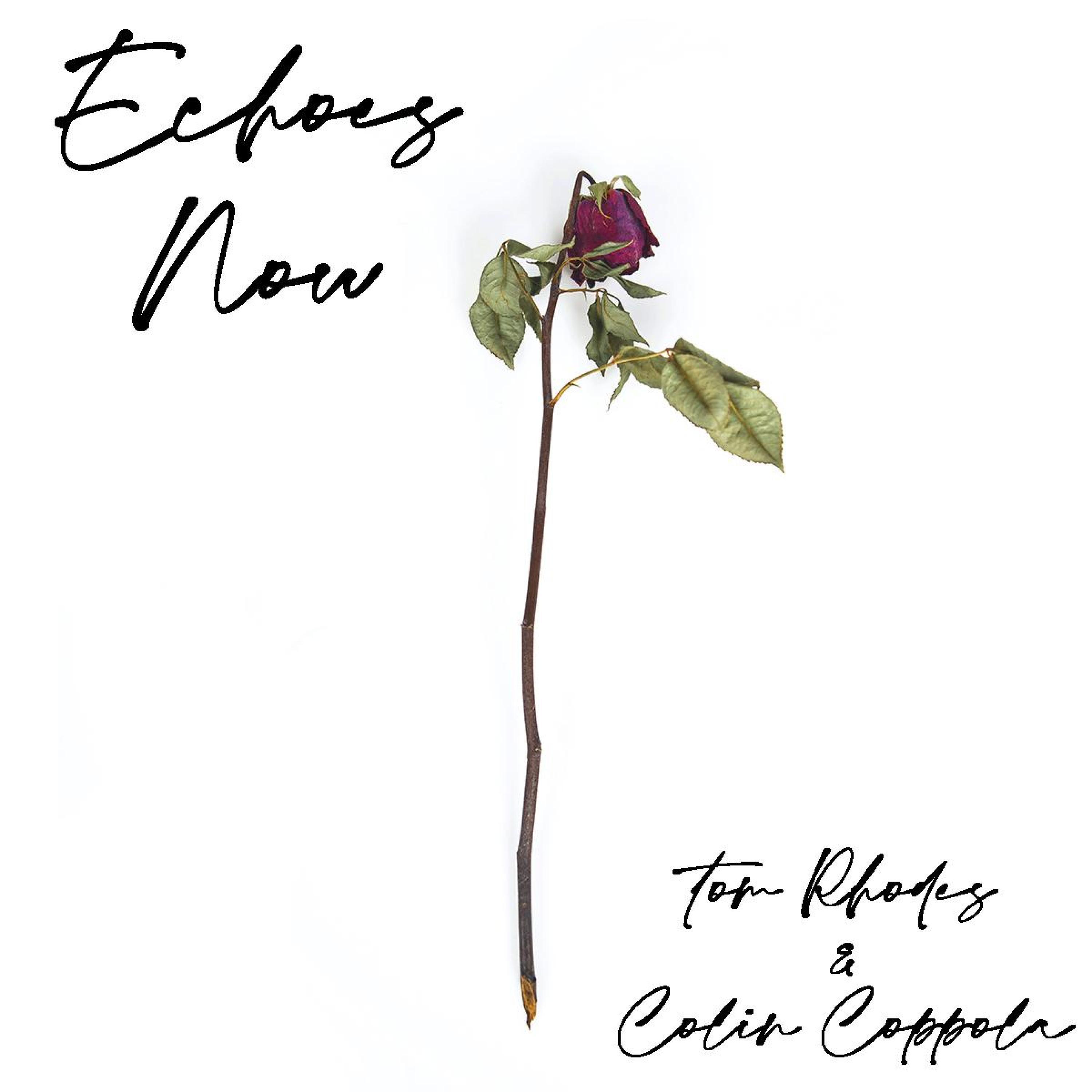 Релиз Echoes Now