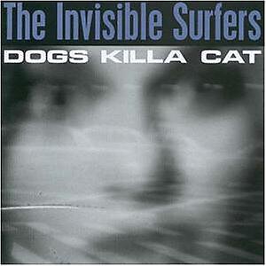 The Invisible Surfers