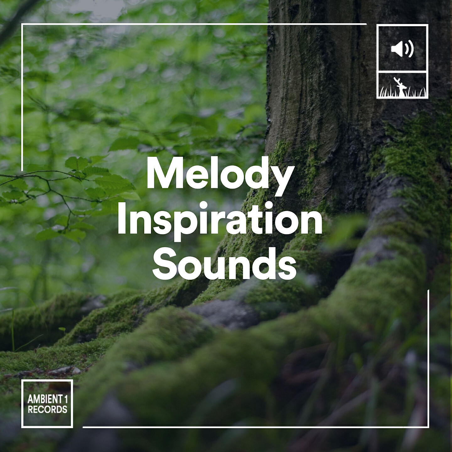 Релиз Melody Inspiration Sounds