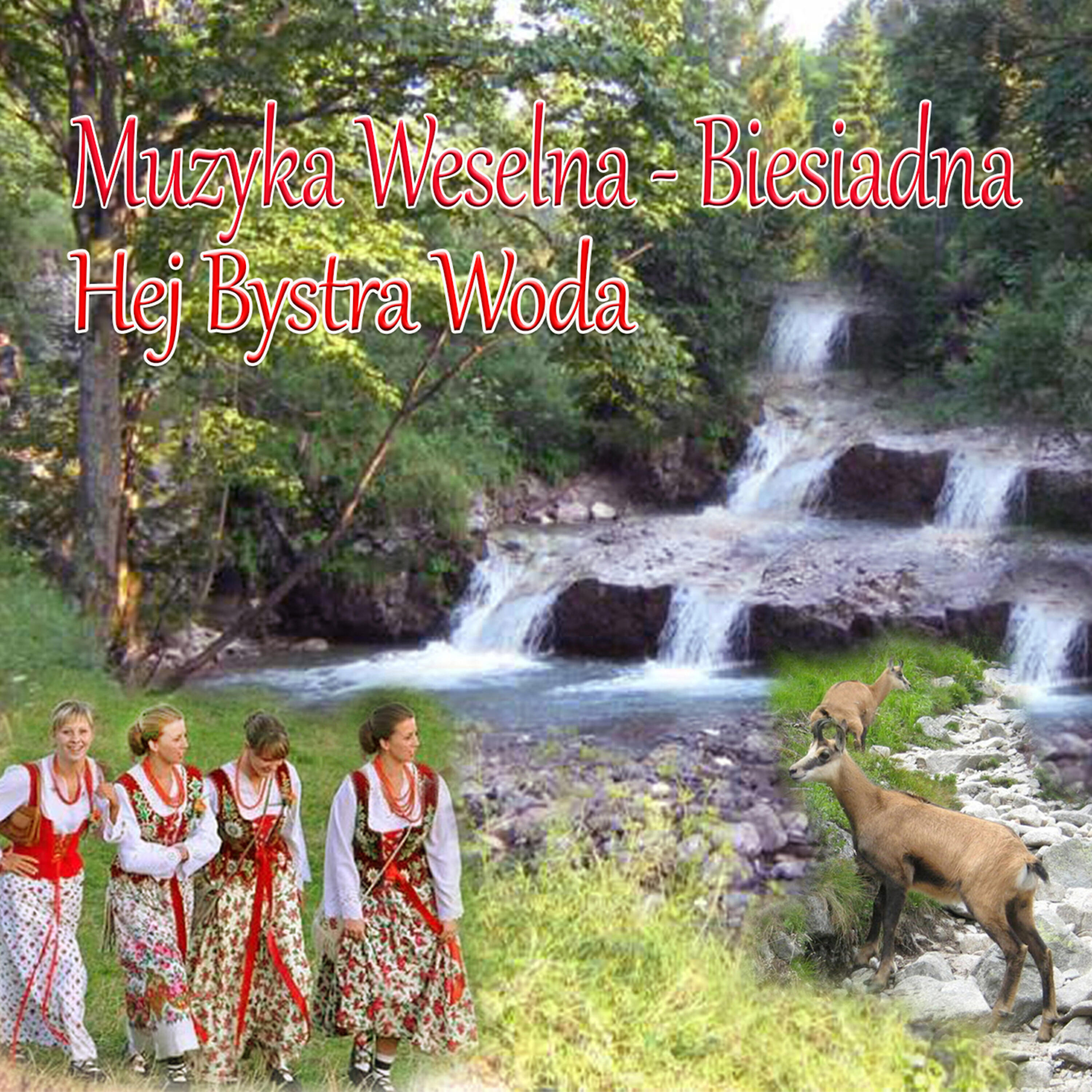 Zespól Weselny Amore