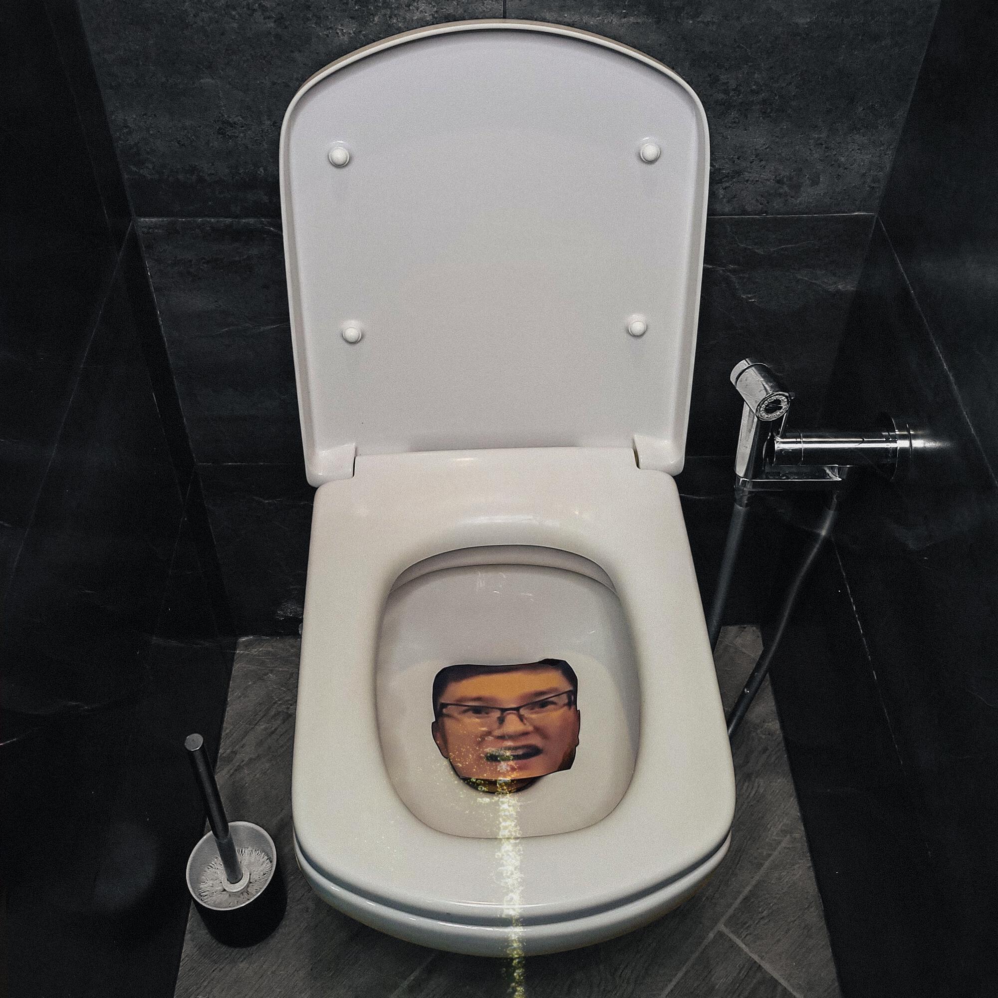 Постер альбома SkrInNiK piss