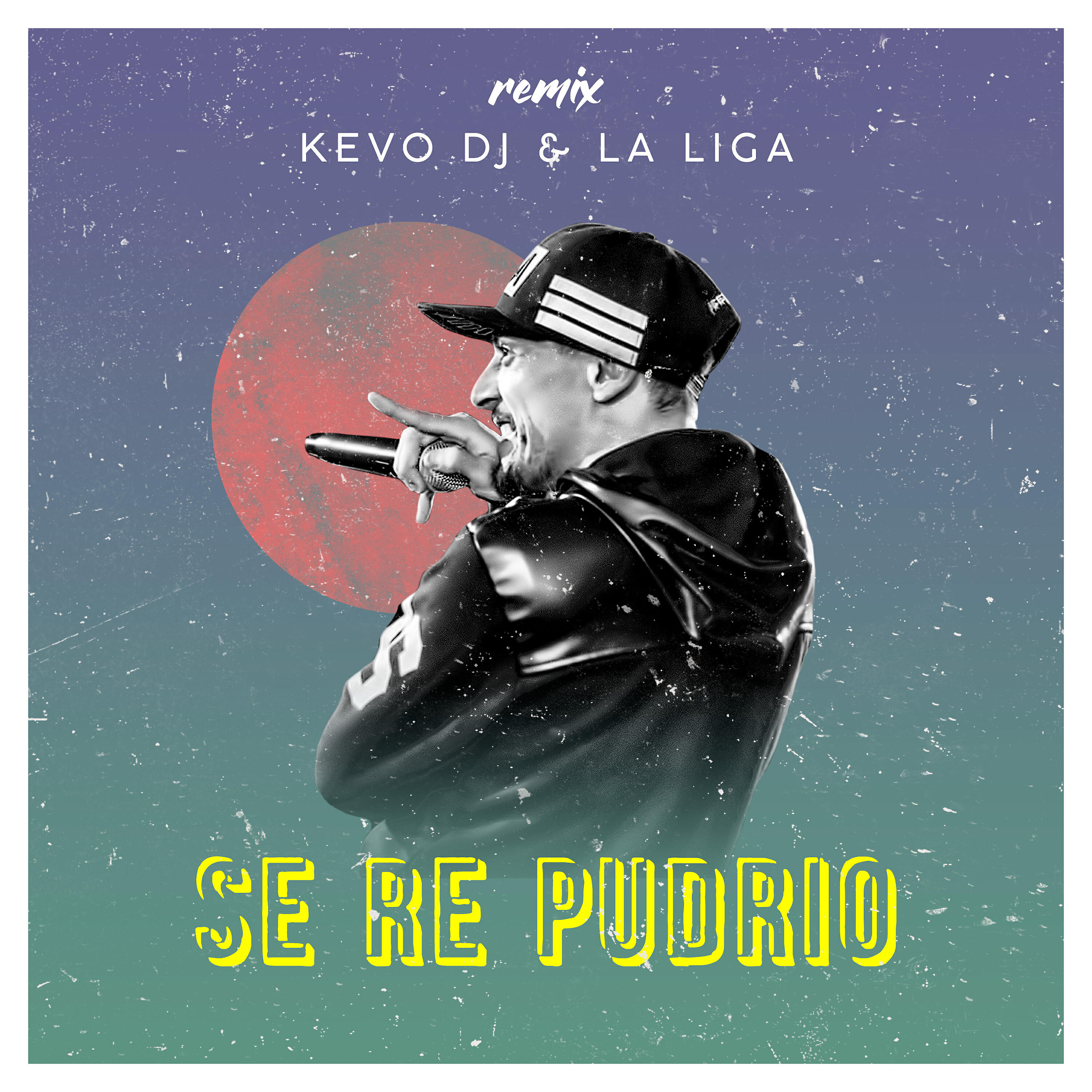Релиз Se Re Pudrio (Remix)