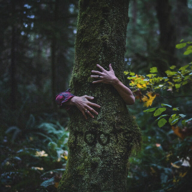 Постер альбома roots