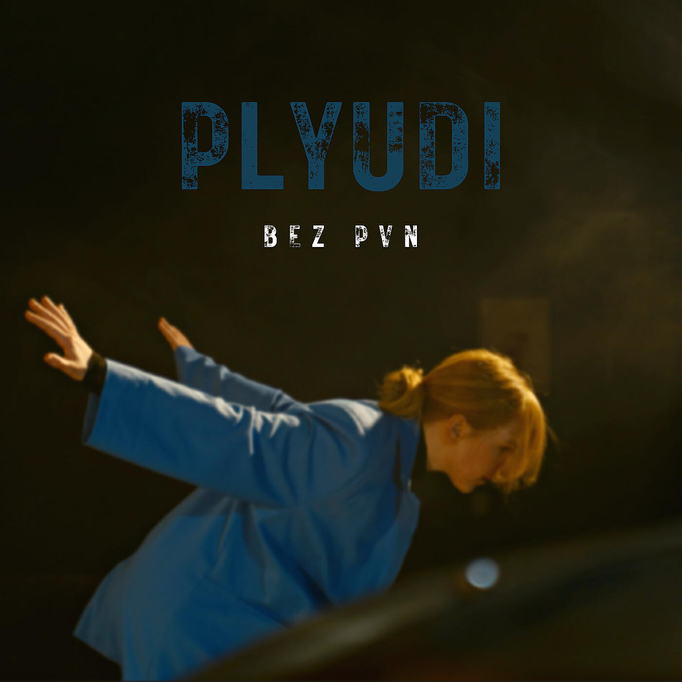 Релиз Plyudi