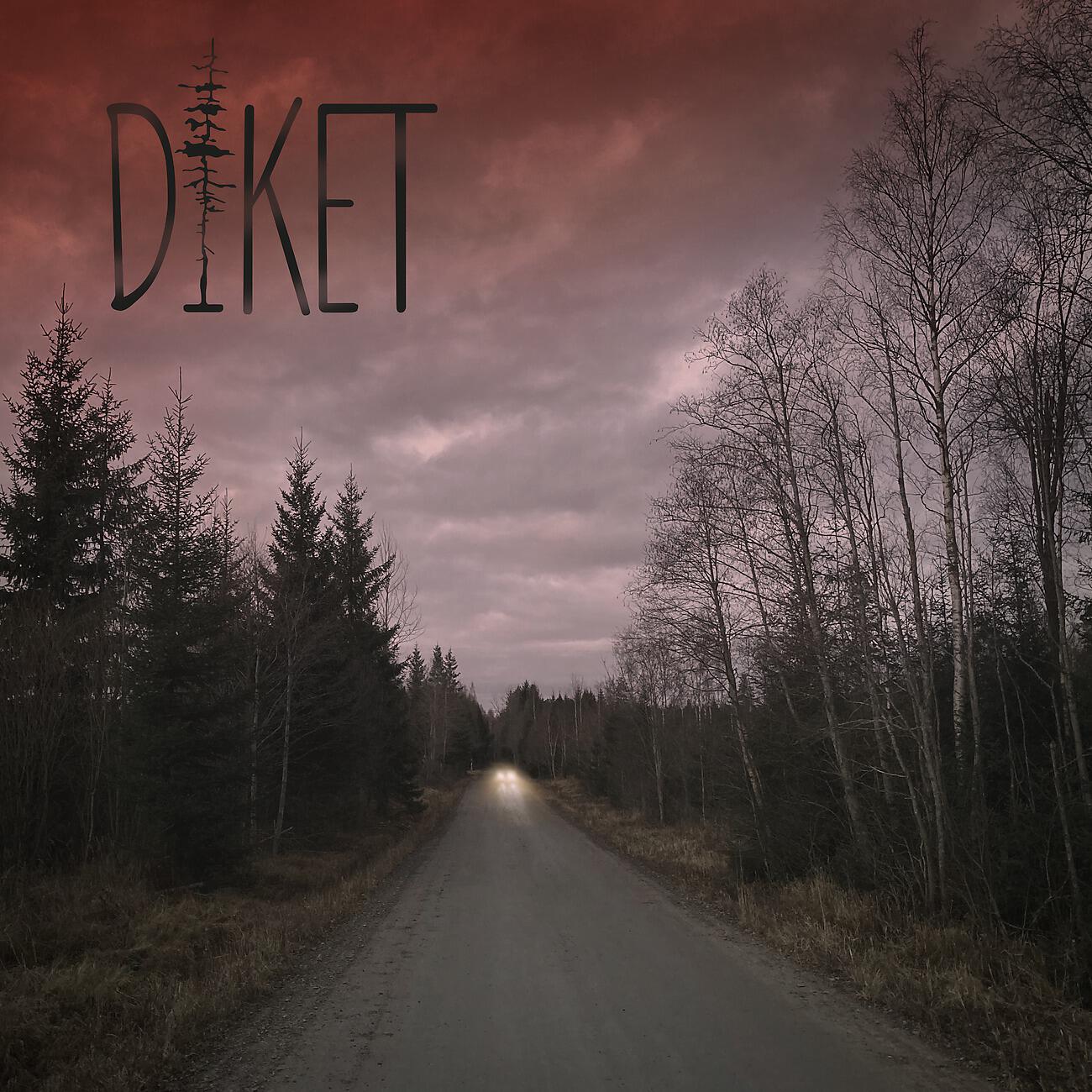 Релиз DIKET