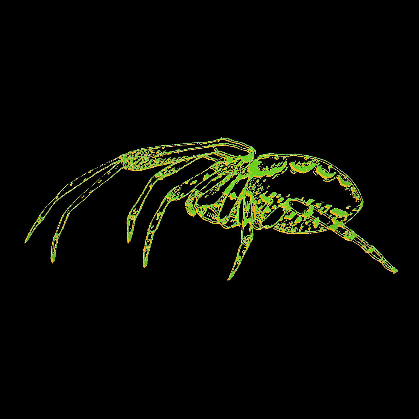 Релиз Arachno