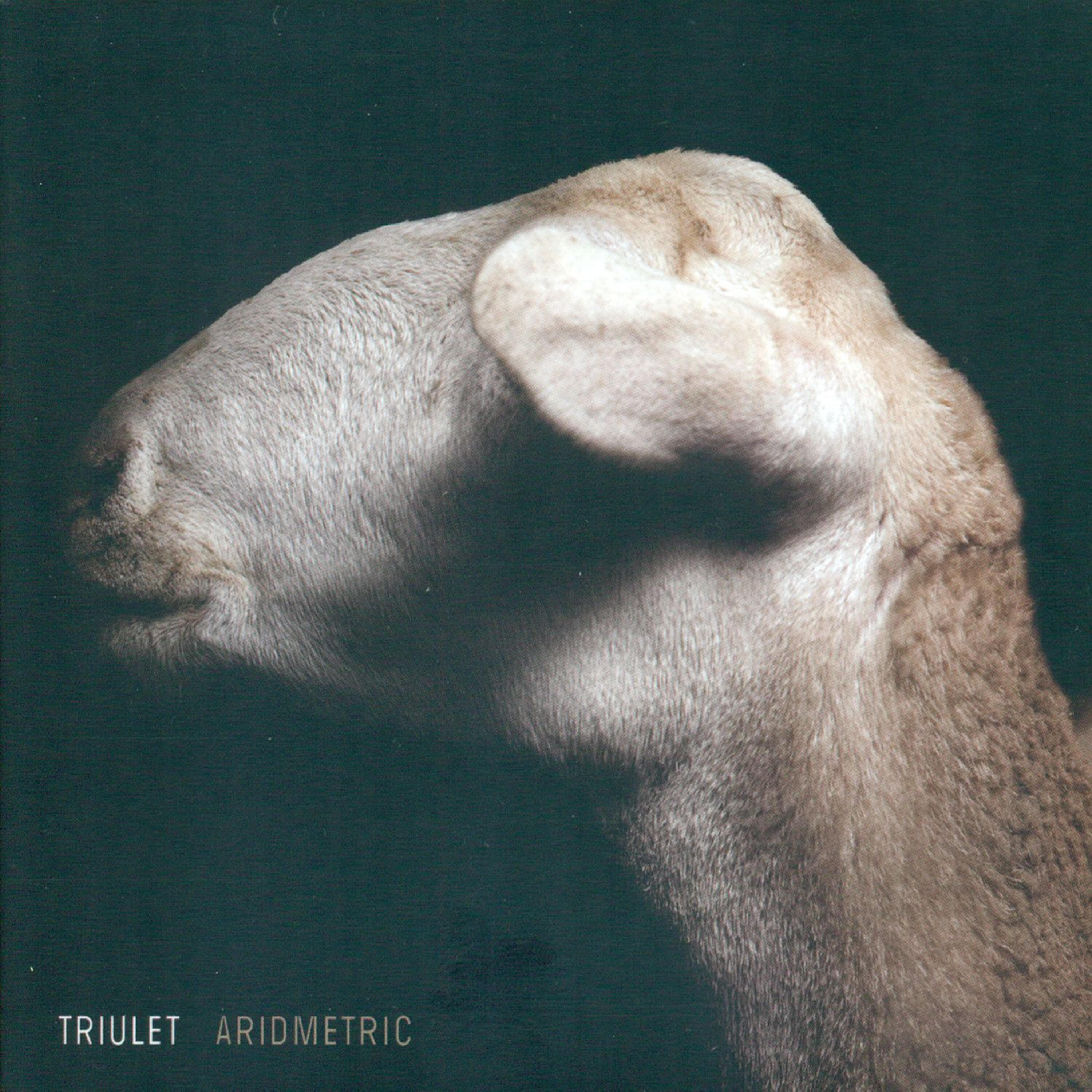 Релиз Aridmetric