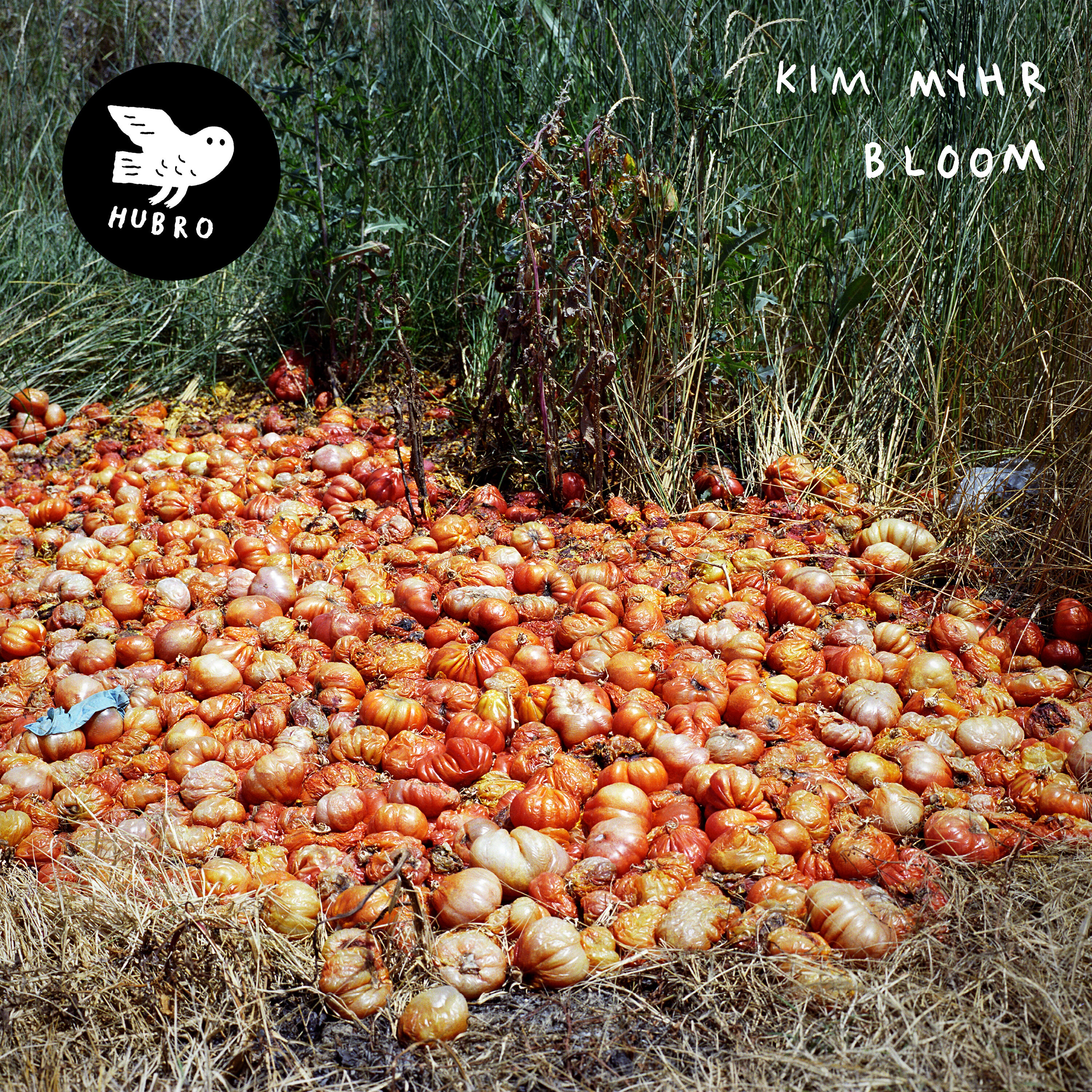 Релиз Bloom