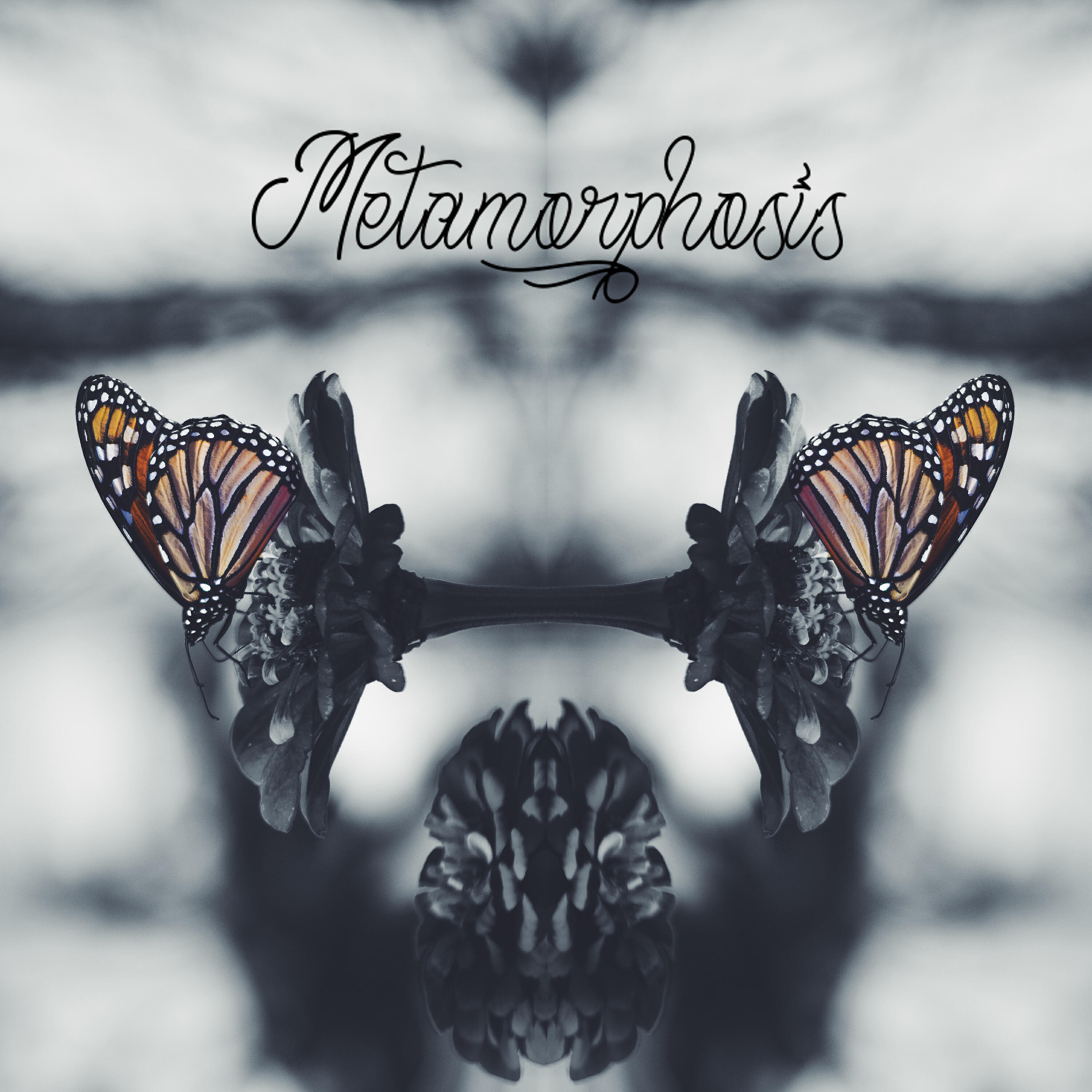 Релиз Metamorphosis