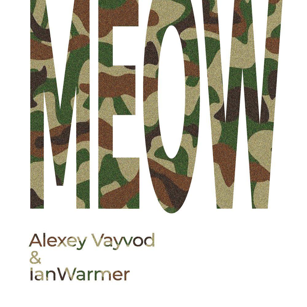 Alexey Vayvod
