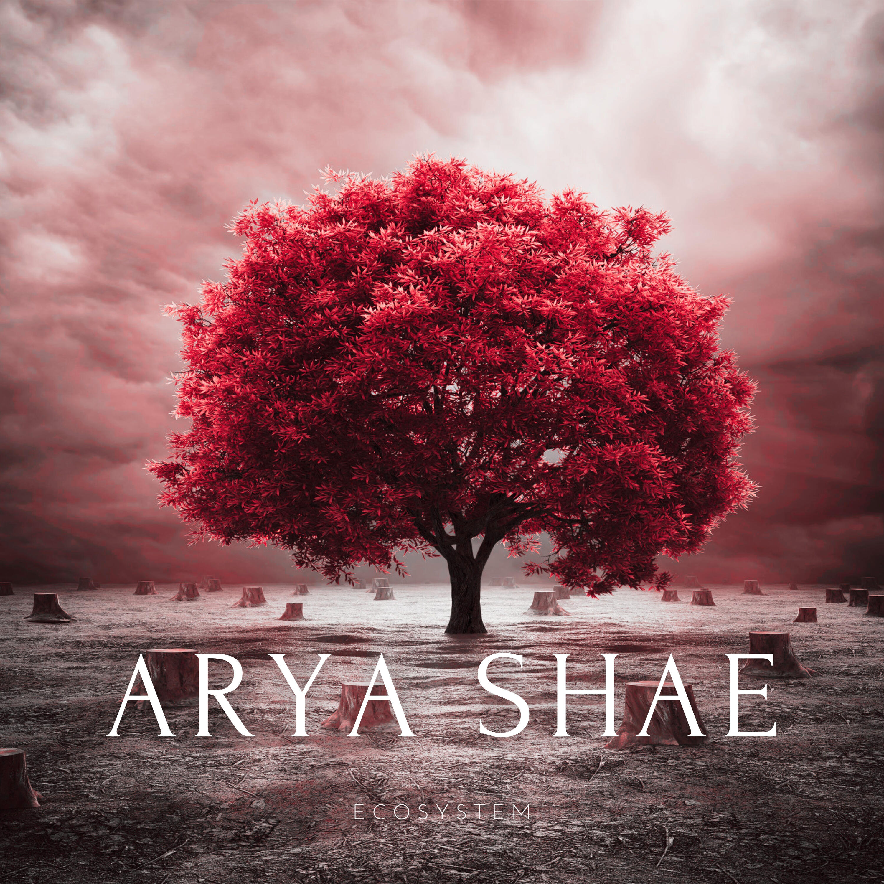 Arya Shae