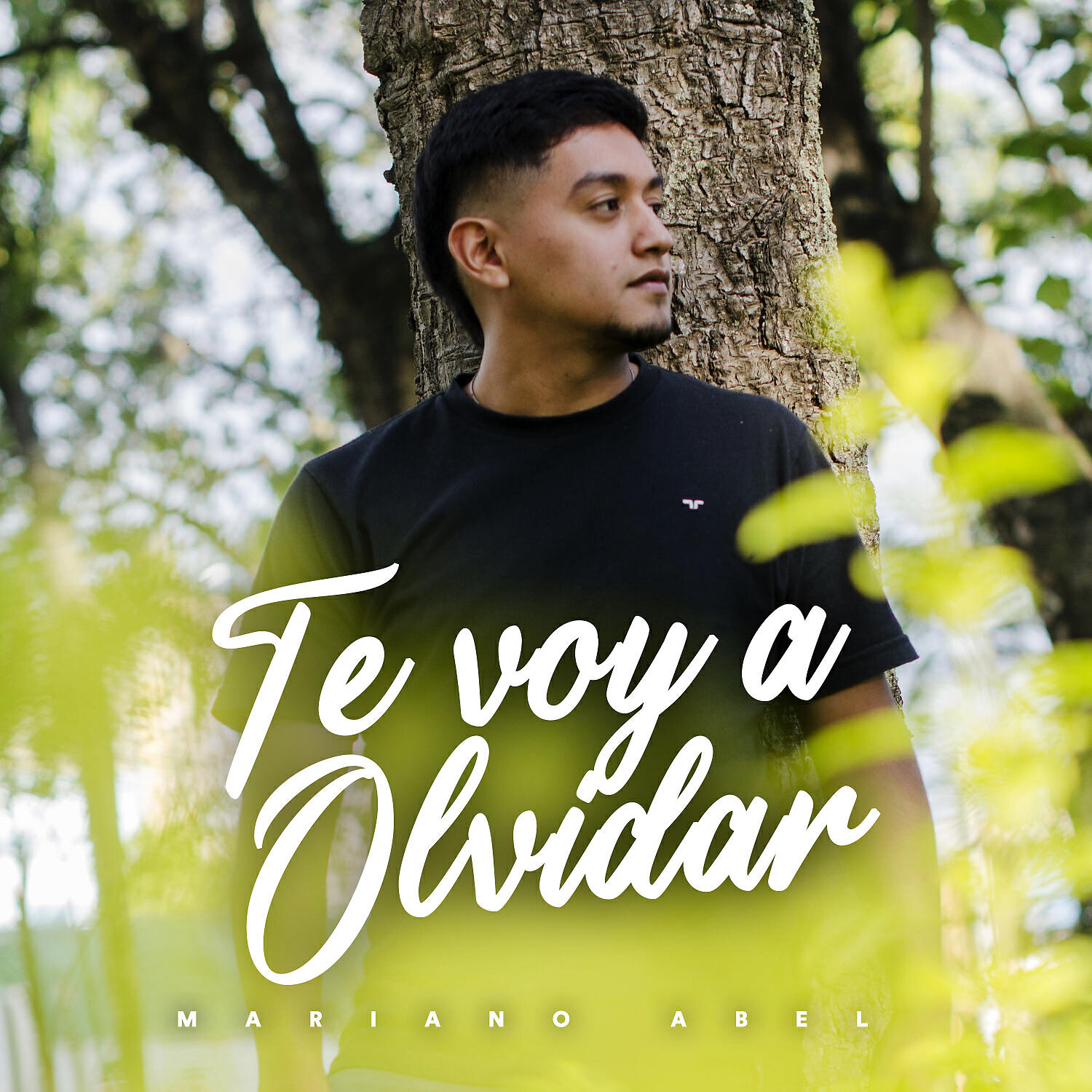 Релиз Te voy a Olvidar