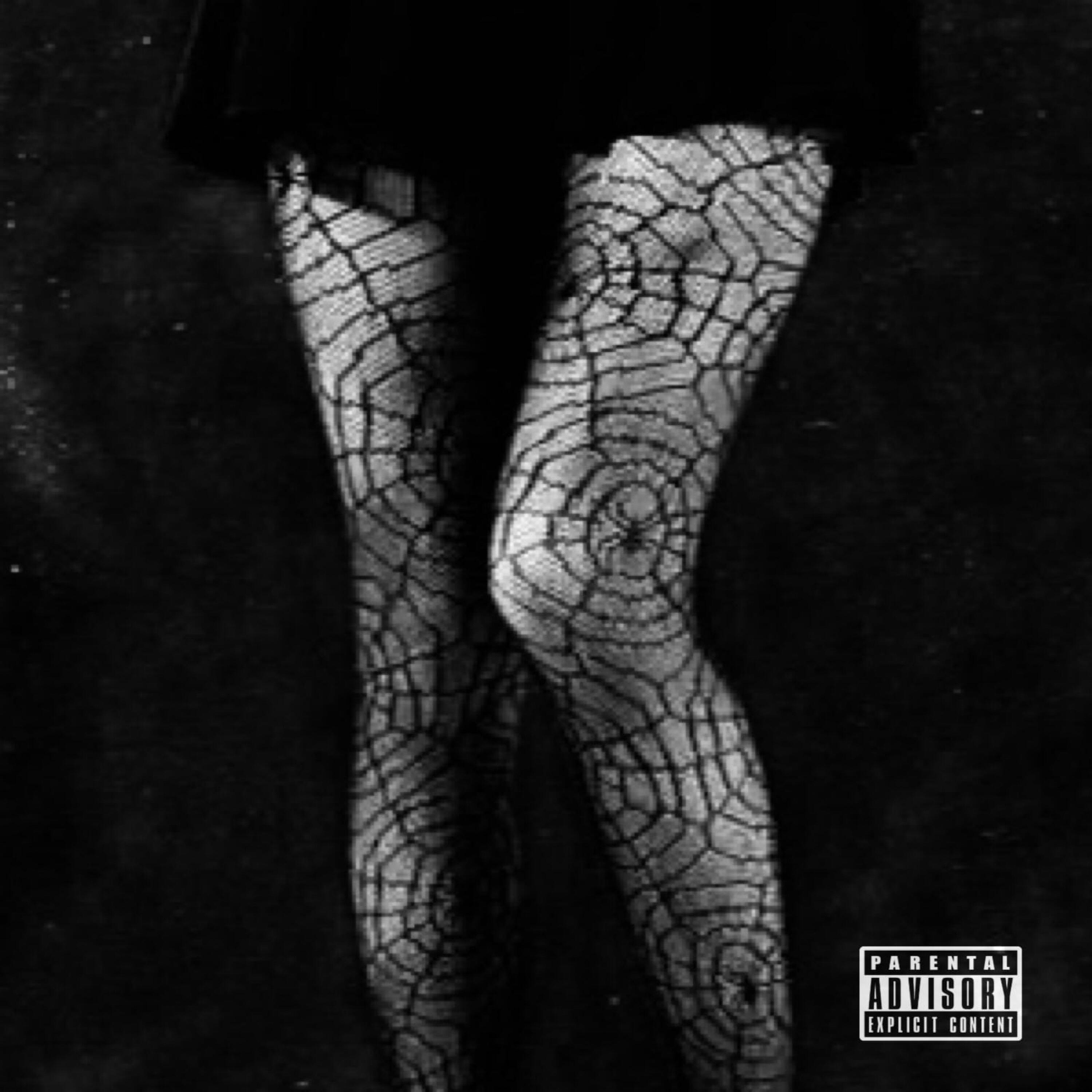 Релиз Fishnets