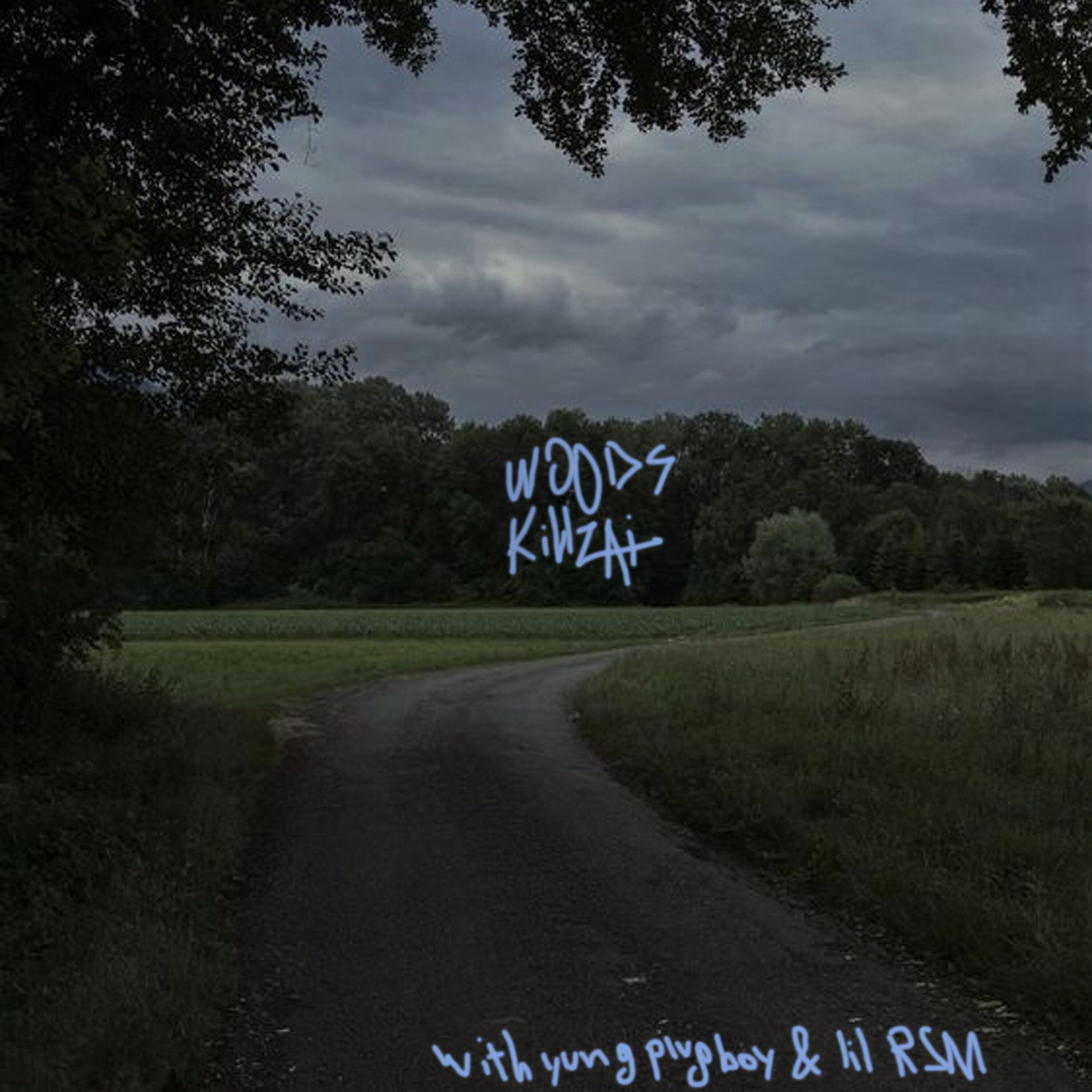 Релиз Woods