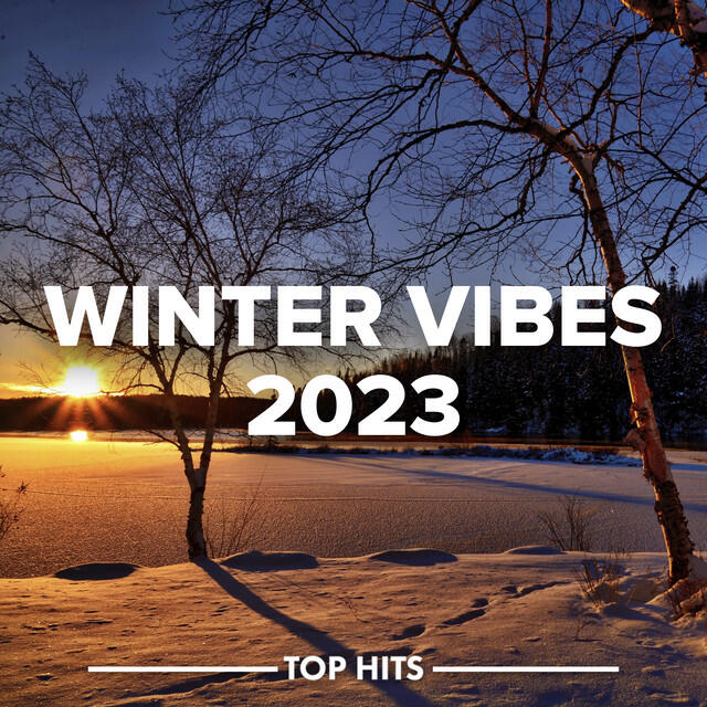 Релиз Winter Vibes 2023