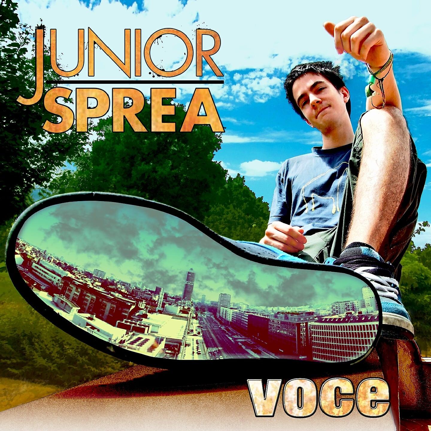 Релиз Voce