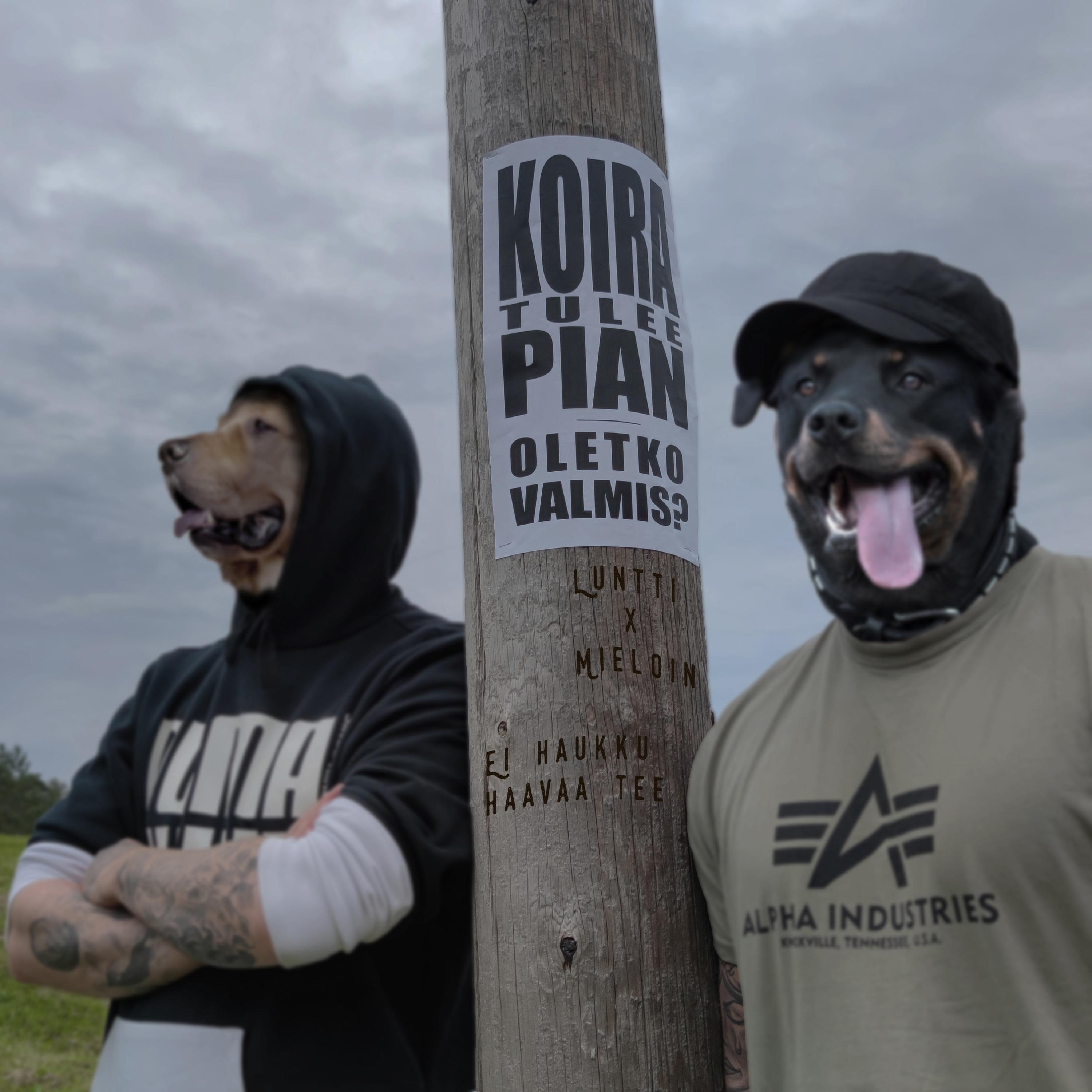 Релиз Ei Haukku Haavaa Tee