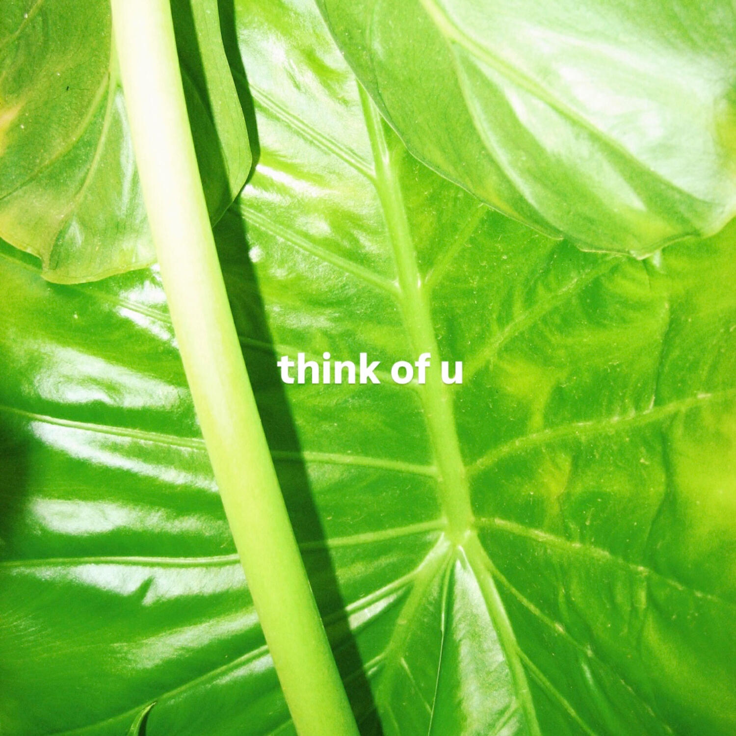Релиз think of u