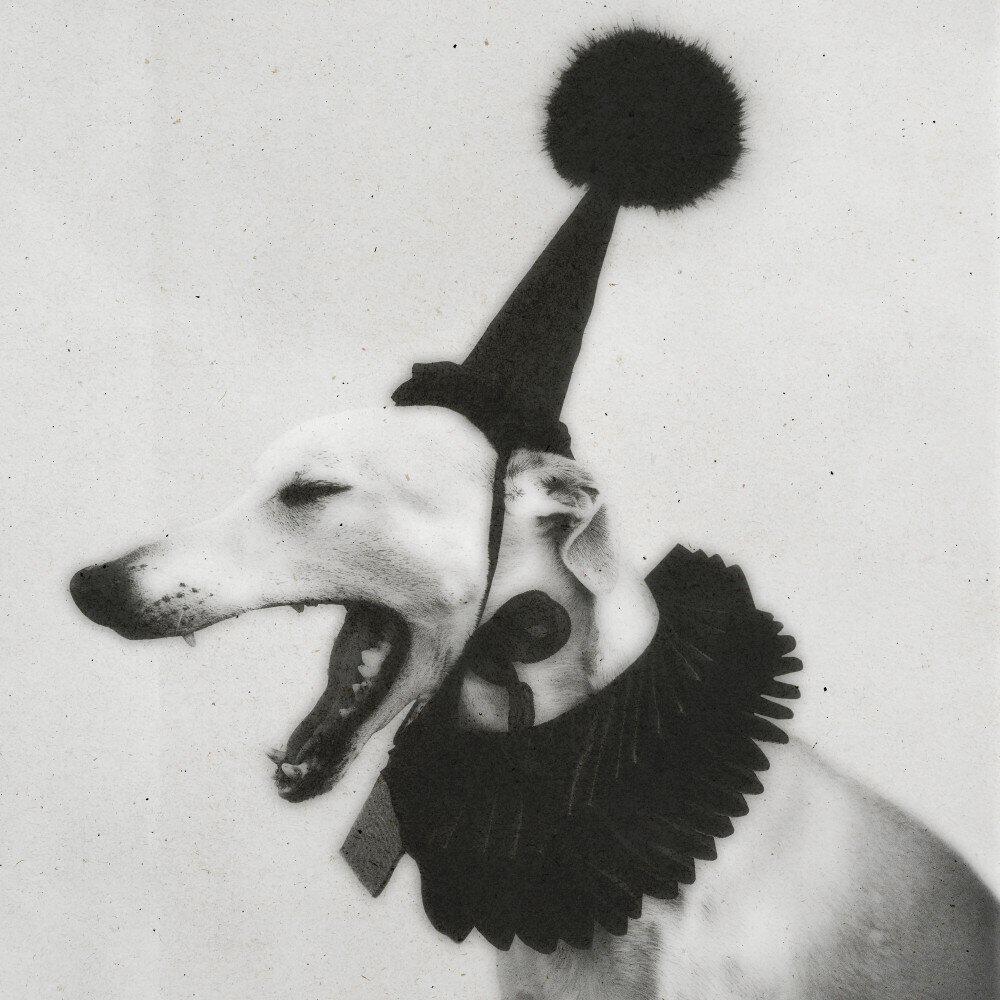 Релиз Ghost Hound