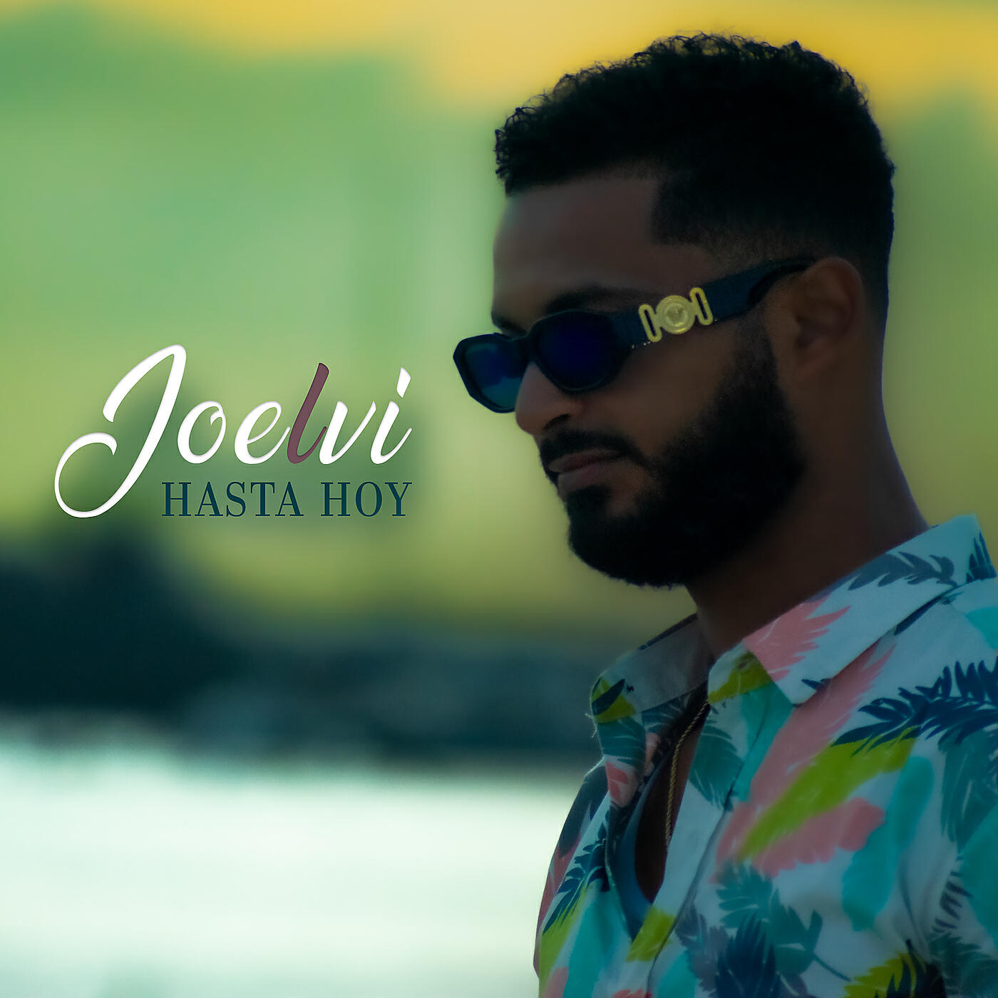 Joelvi