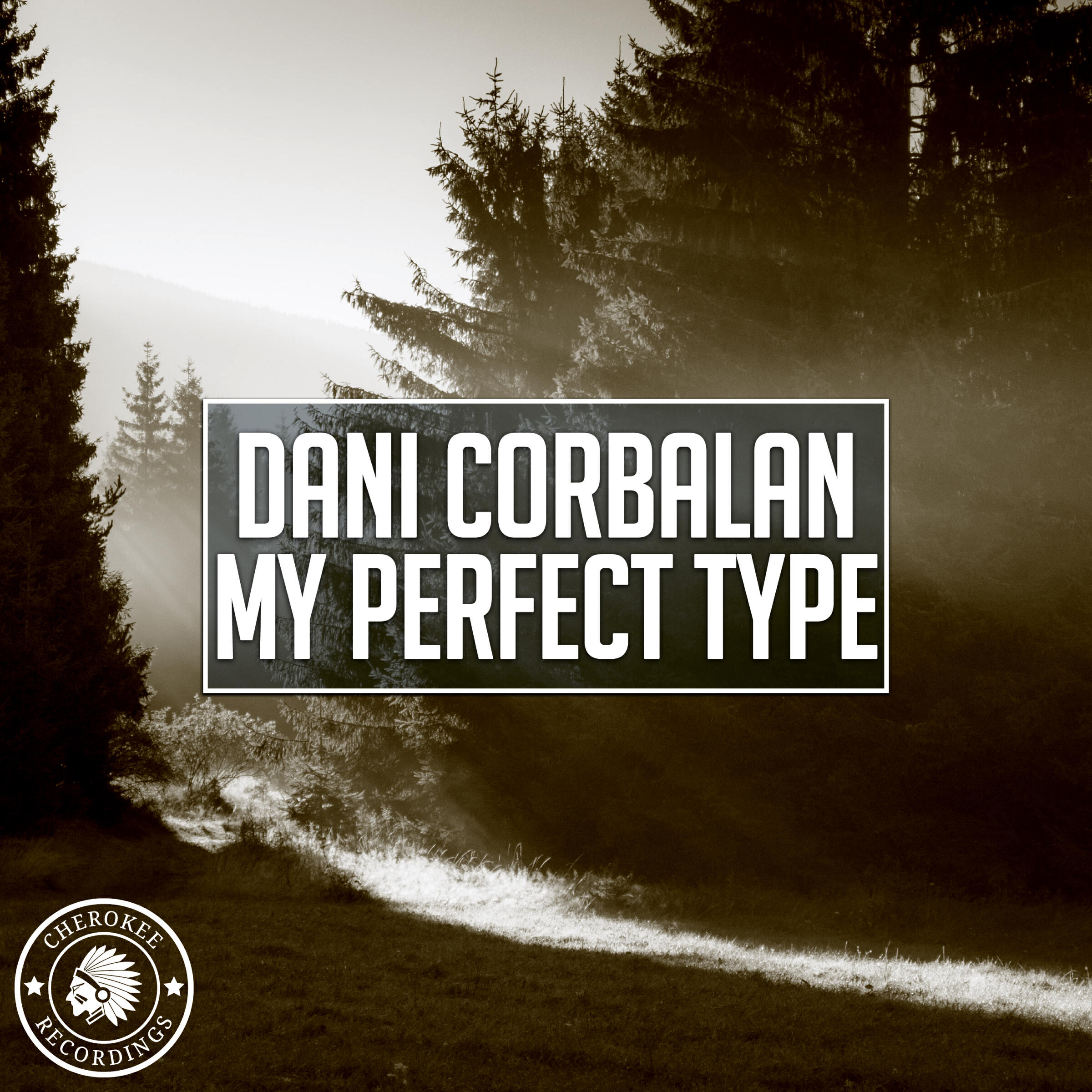 Релиз My Perfect Type