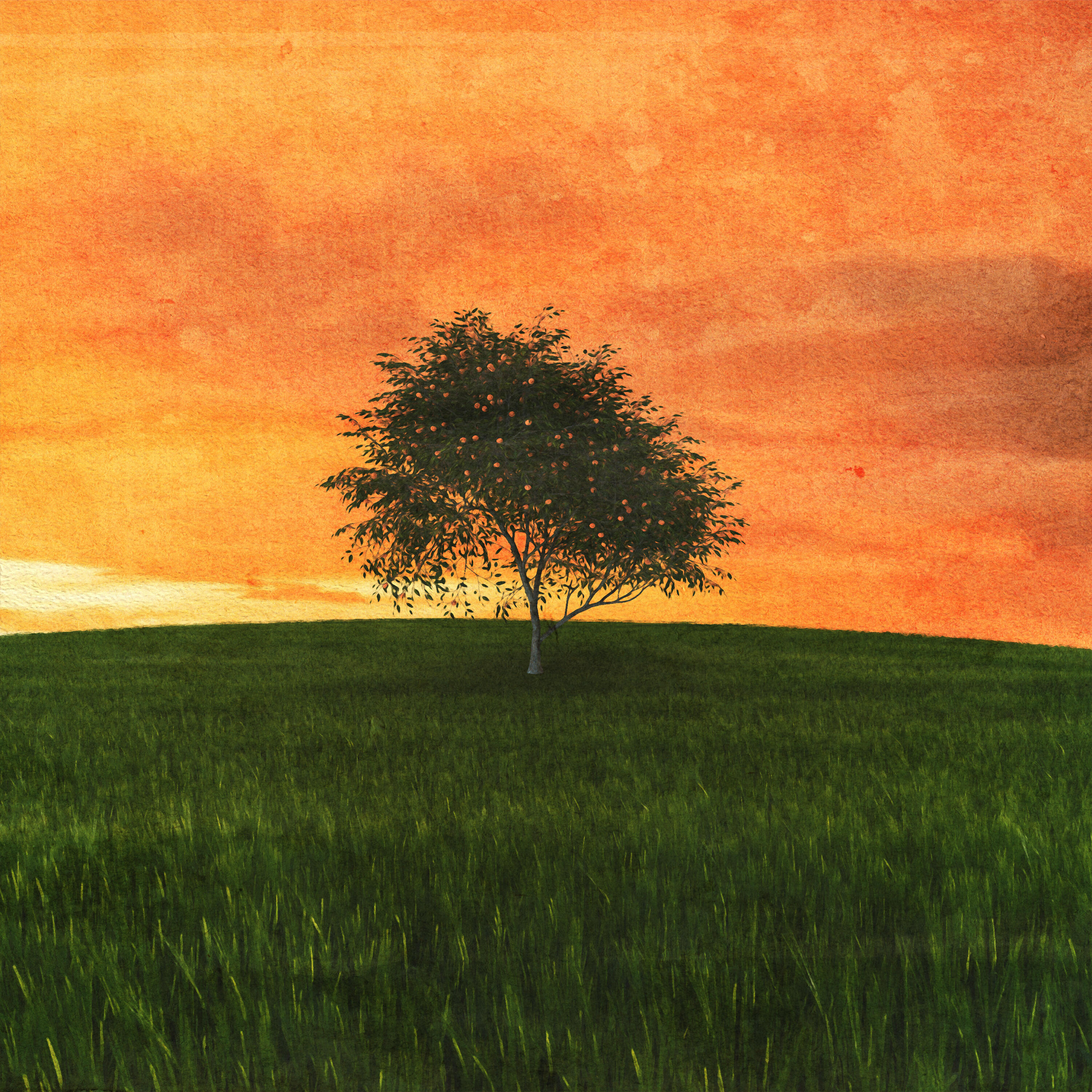 Релиз Something In The Orange