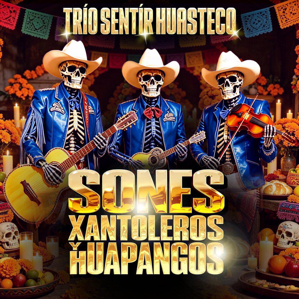 Trío Sentir Huasteco