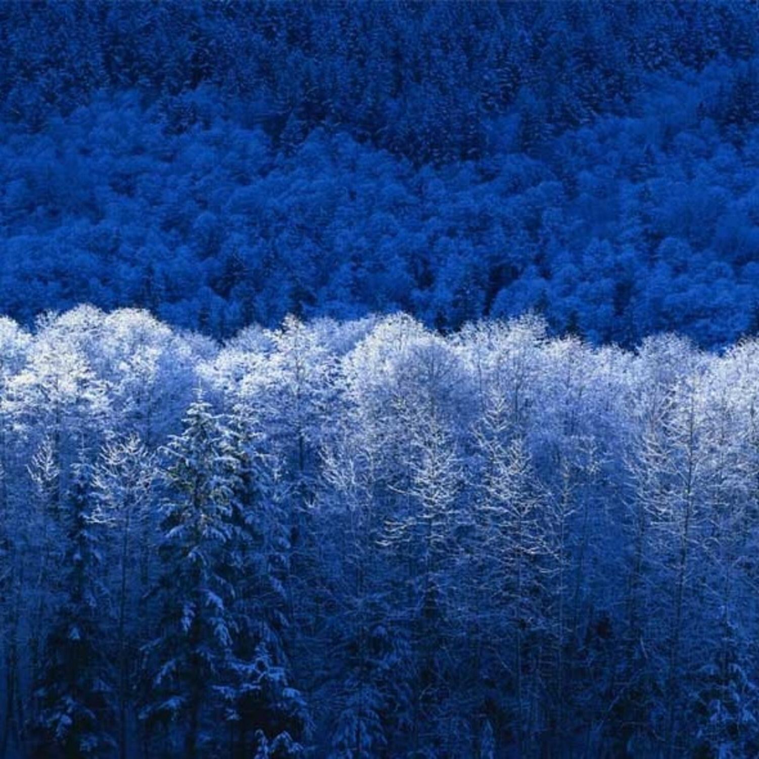 Король Печали и Тоски