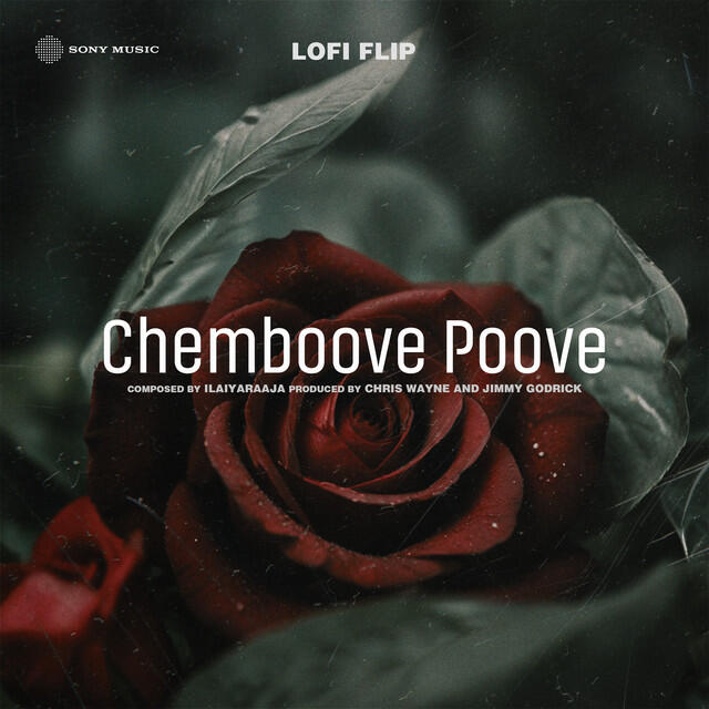 Релиз Chemboove Poove (Lofi Flip)
