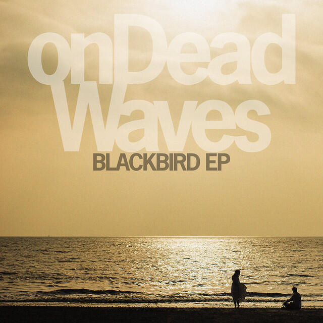 Релиз Blackbird