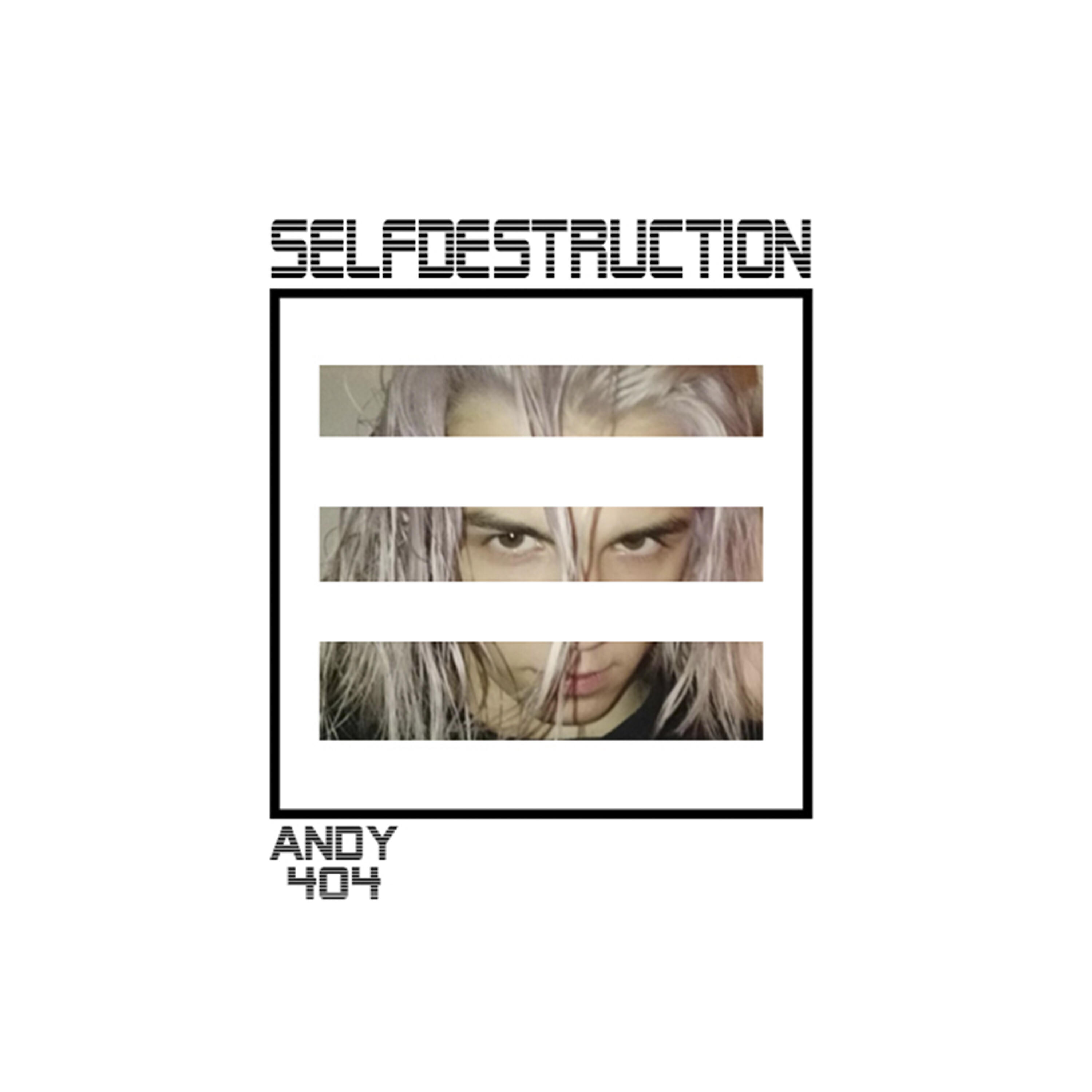 Релиз Self-Destruction