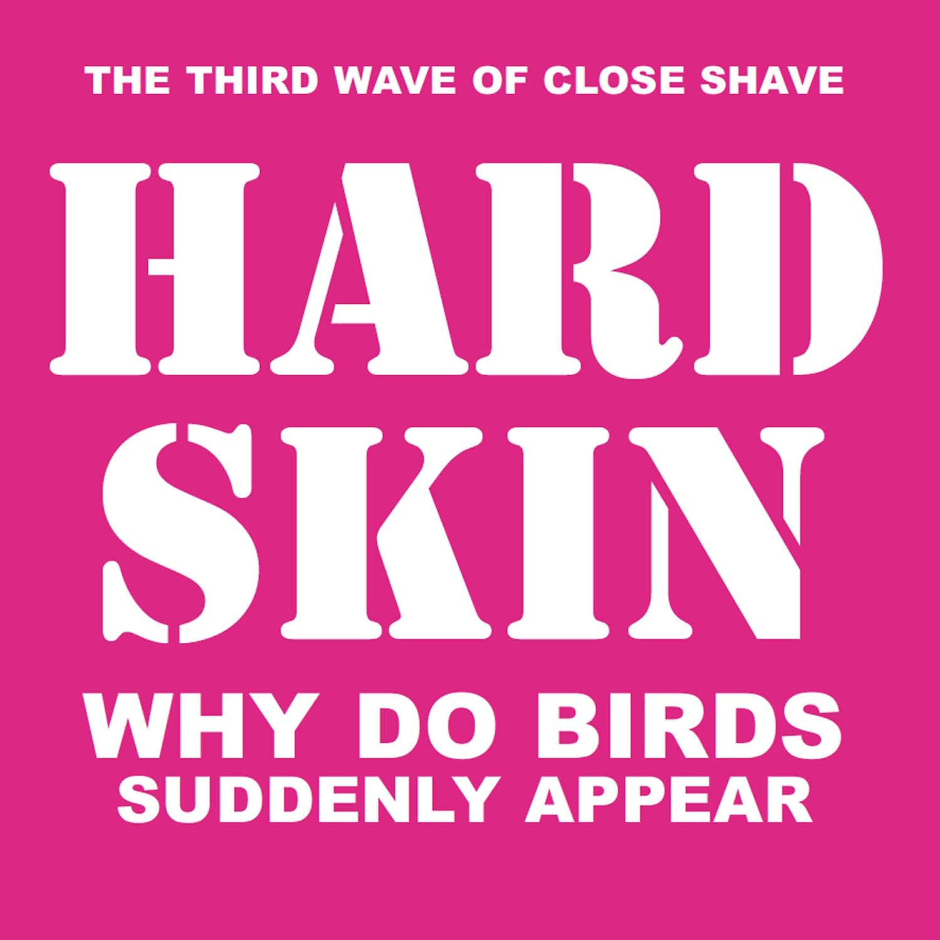 Релиз Why Do Birds Suddenly Appear