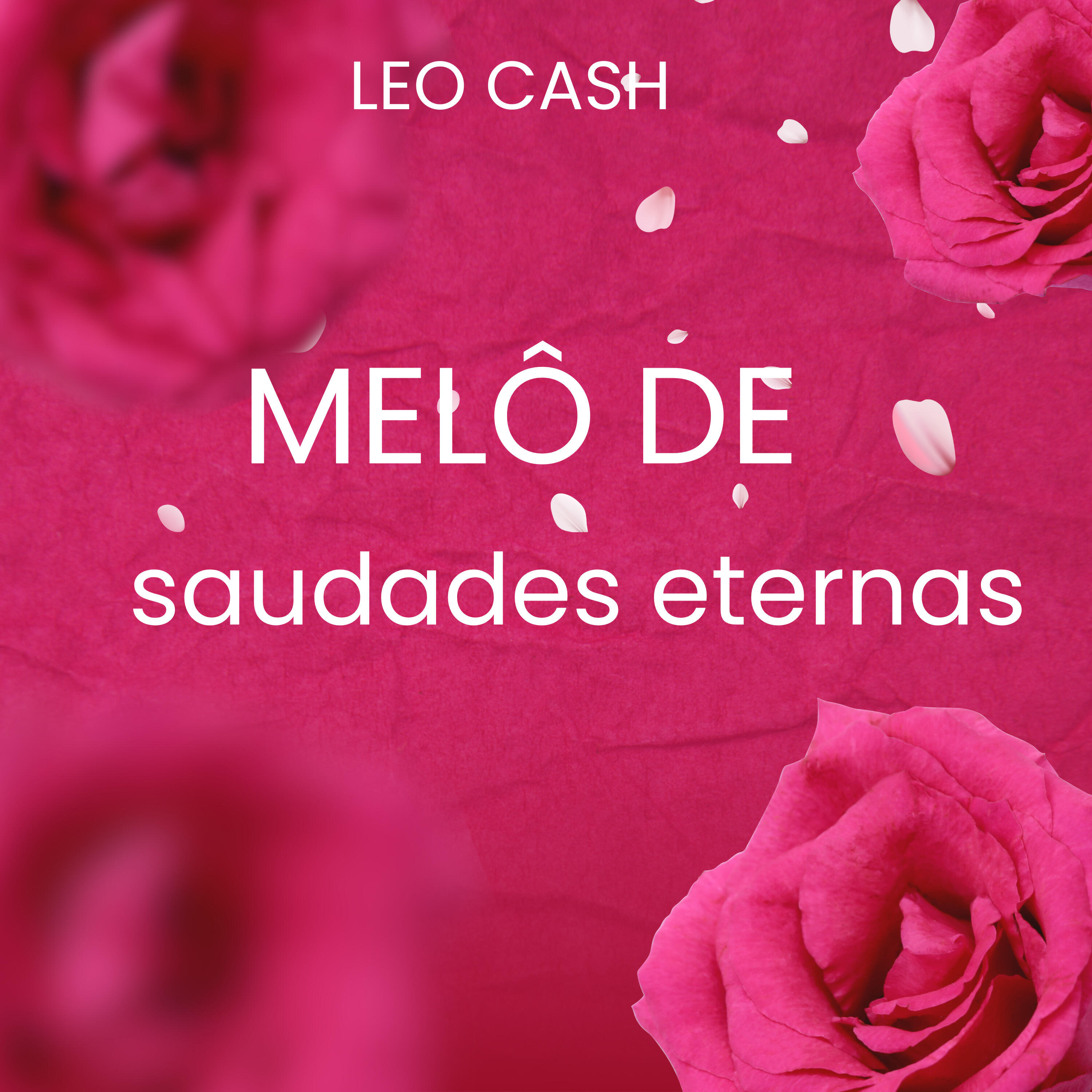 Релиз Melô de Saudades Eternas