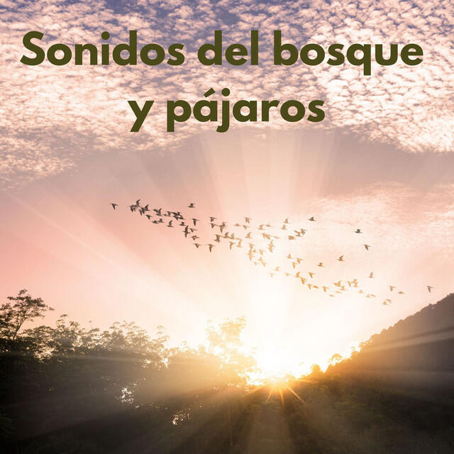 Sonidos Del Bosque