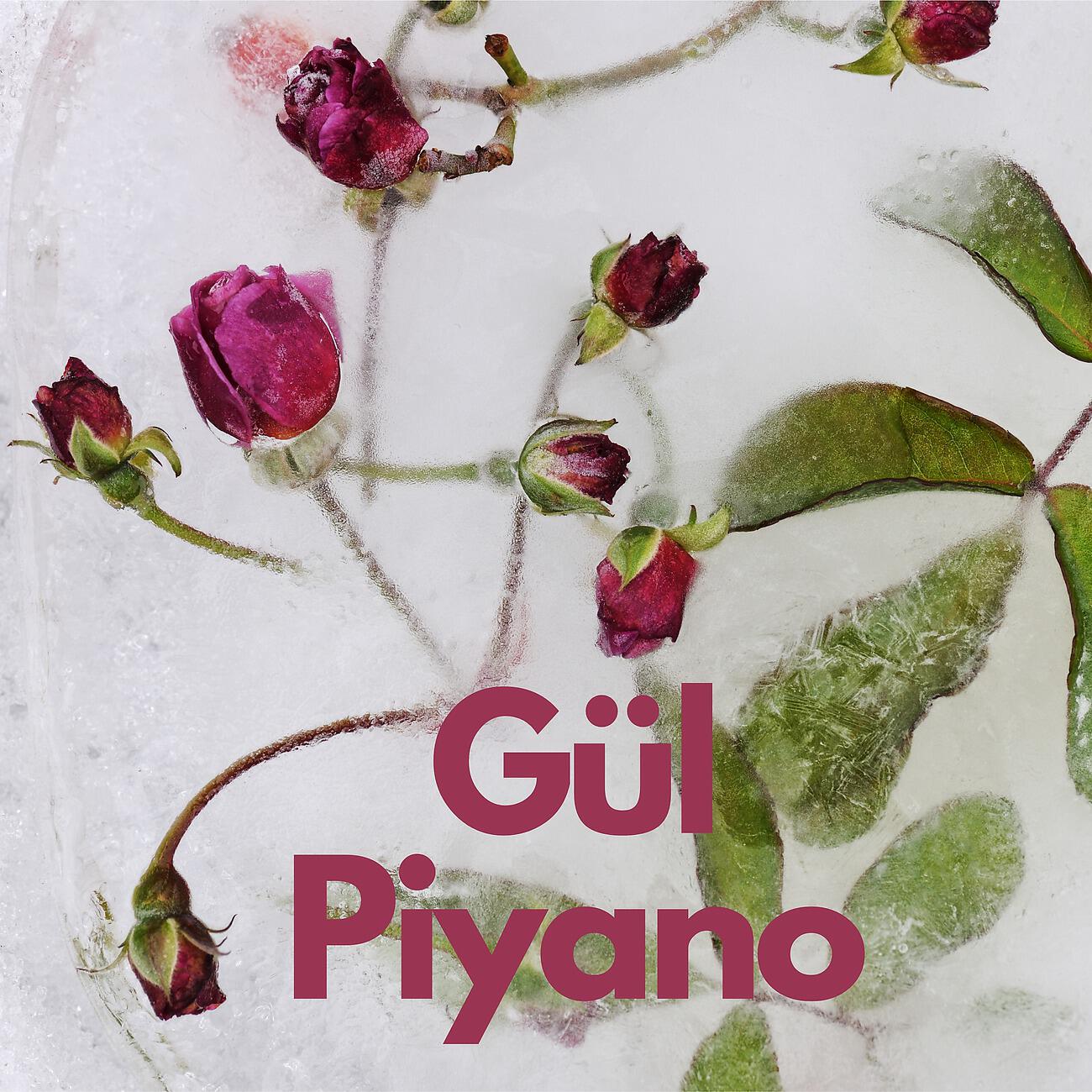 Релиз Gül Piyano
