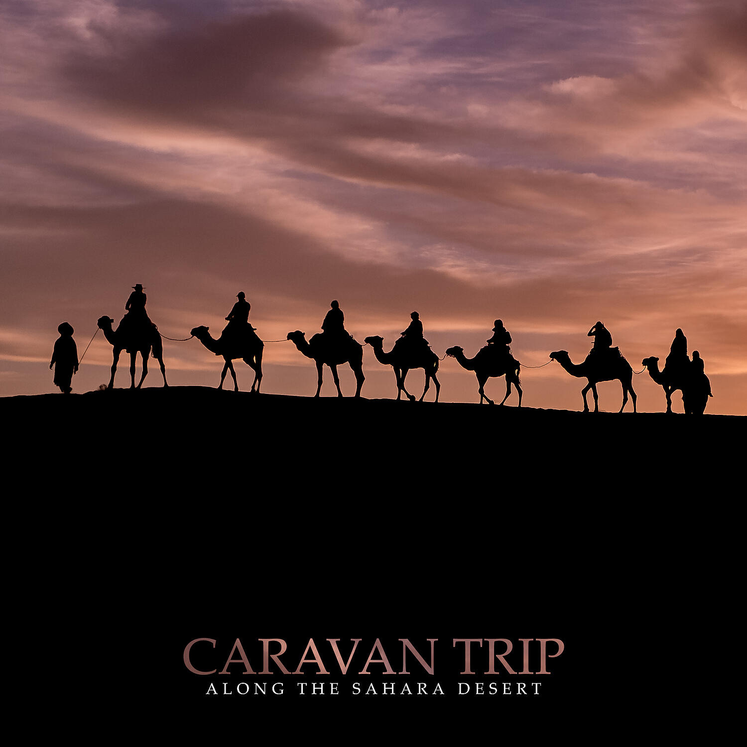 Релиз Caravan Trip Along the Sahara Desert