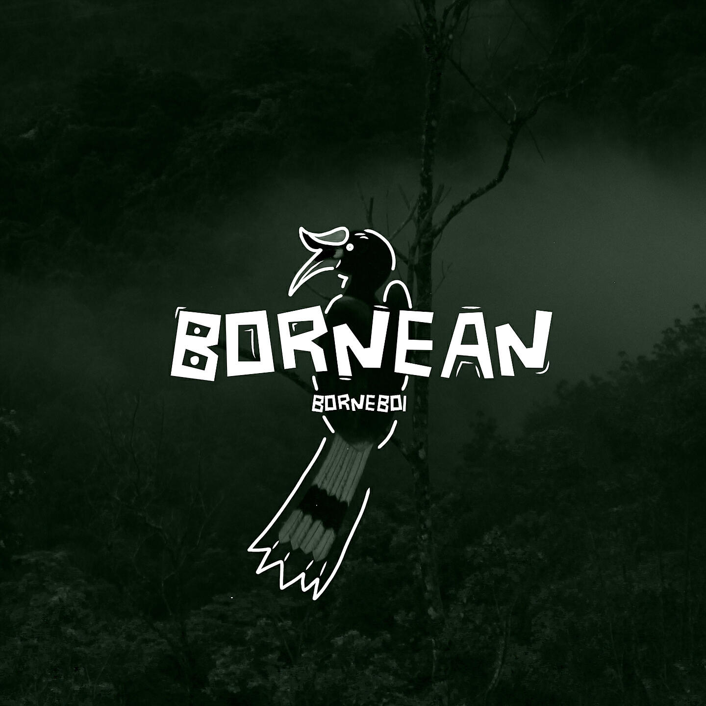 Релиз Bornean