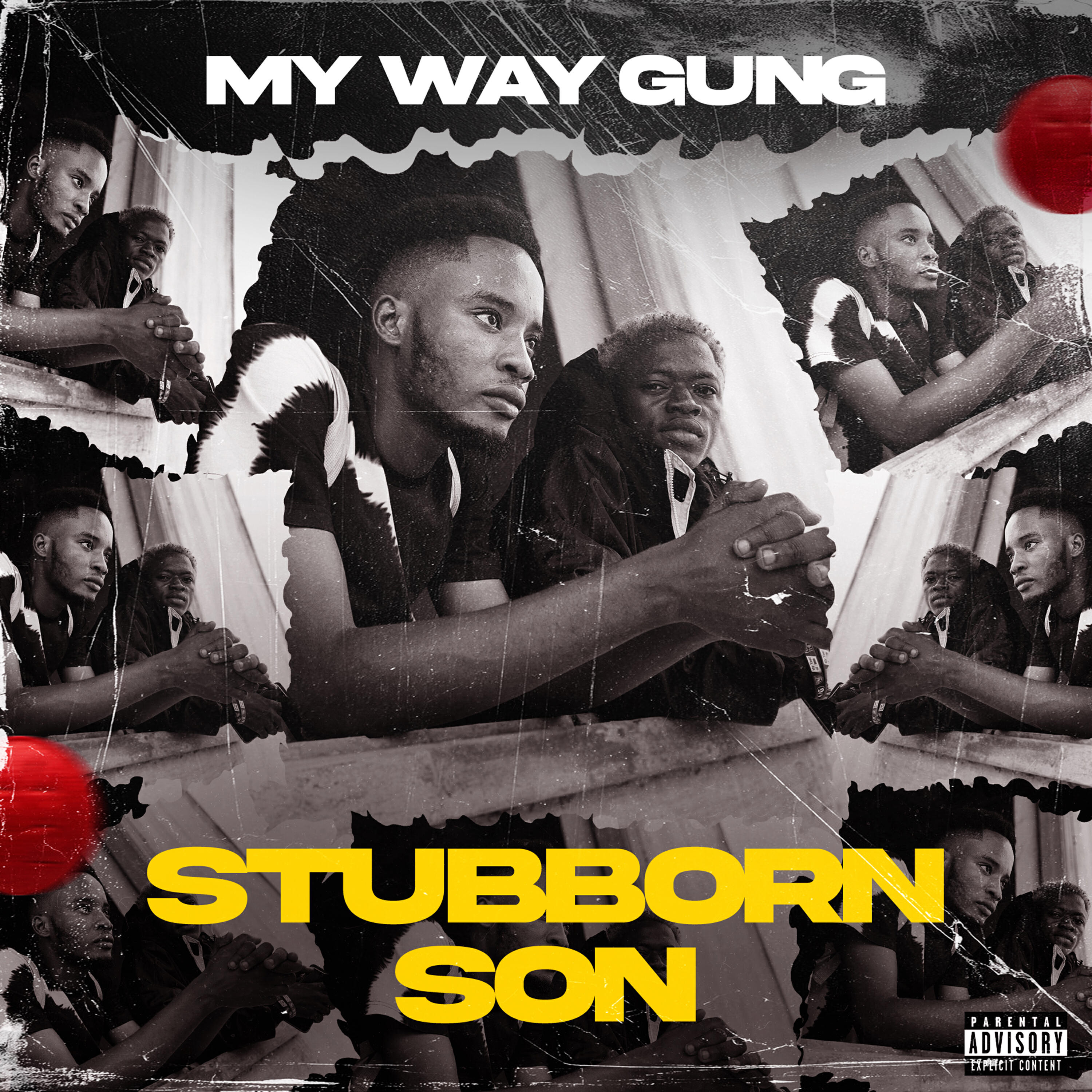 Релиз Stubborn Son