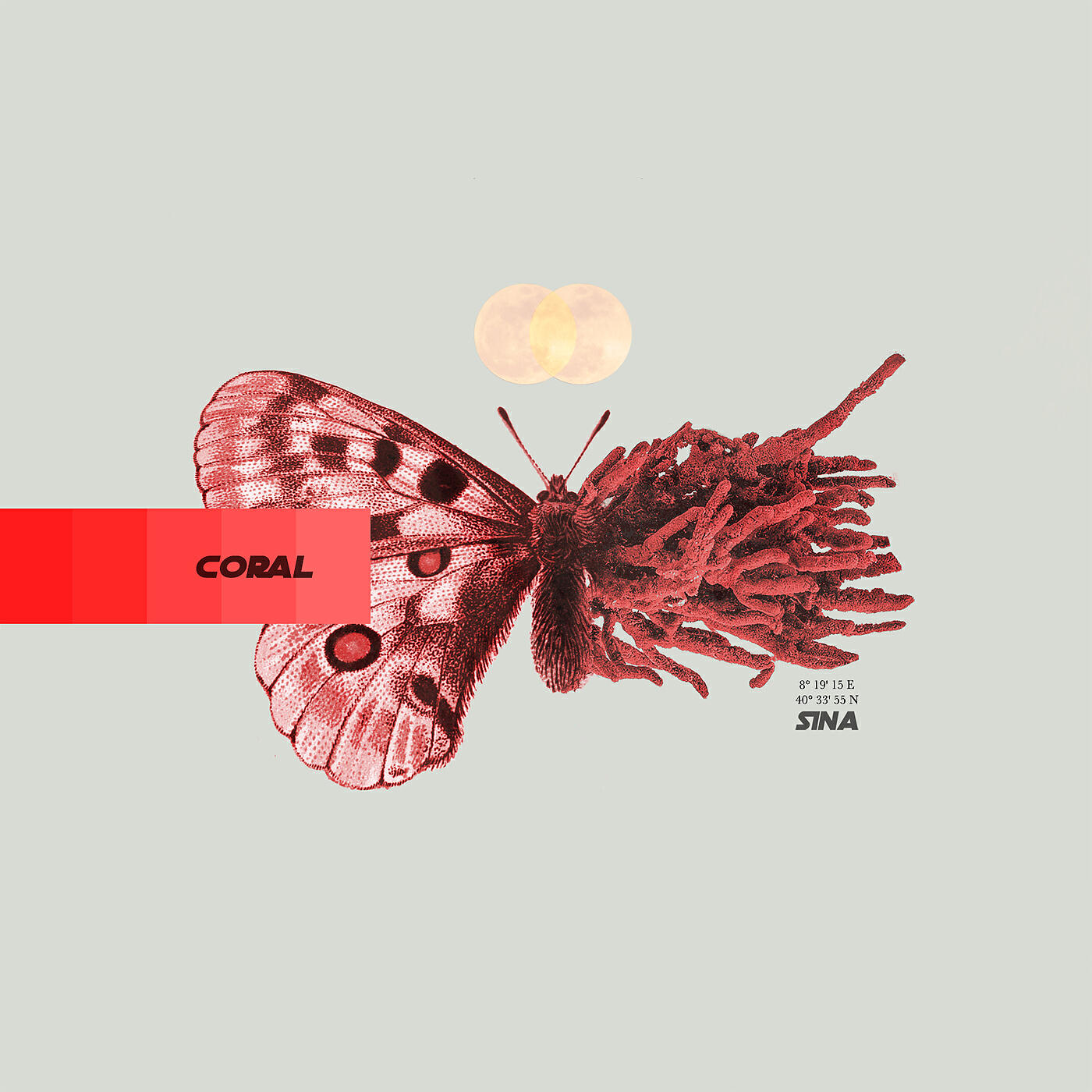 Релиз Coral