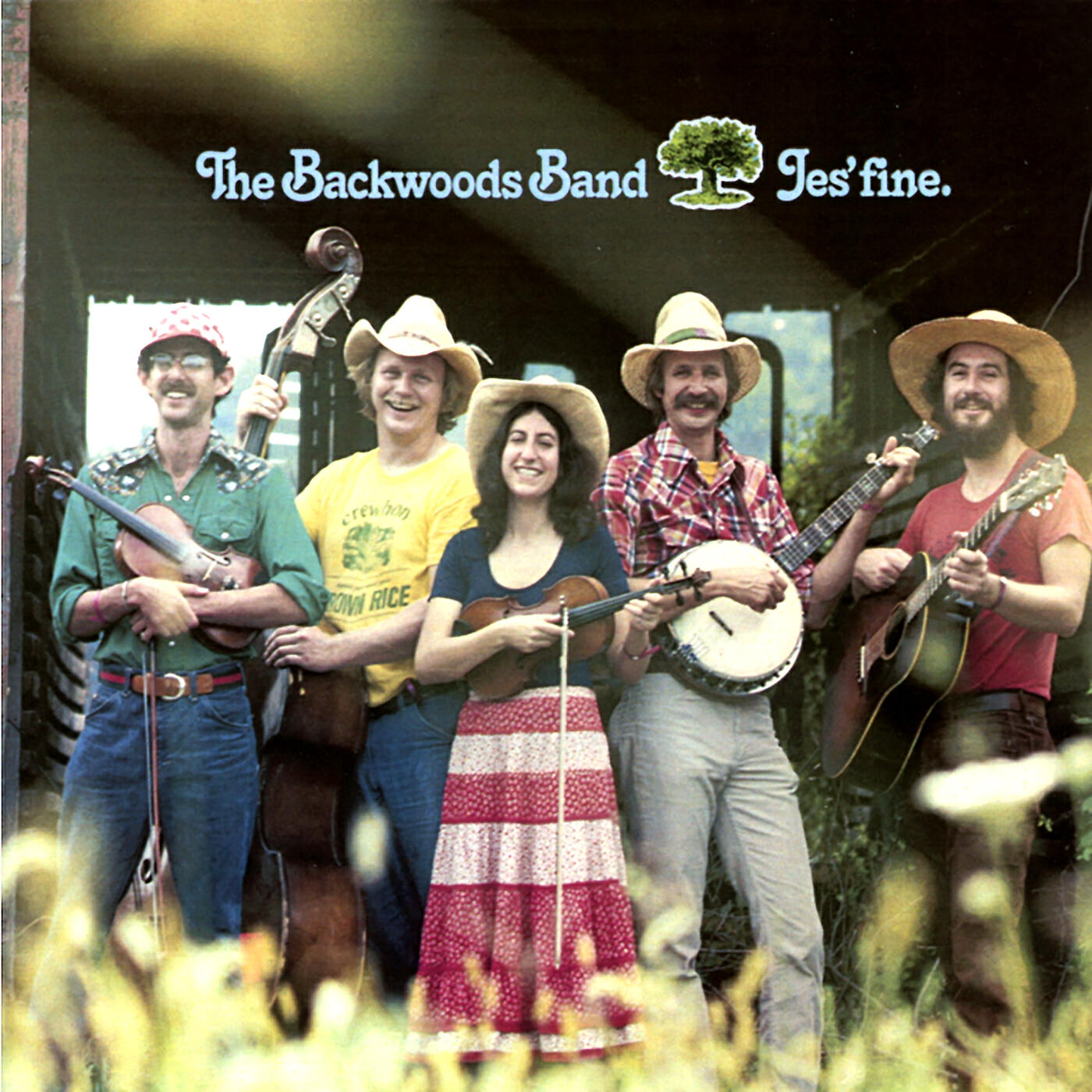 The Backwoods Band