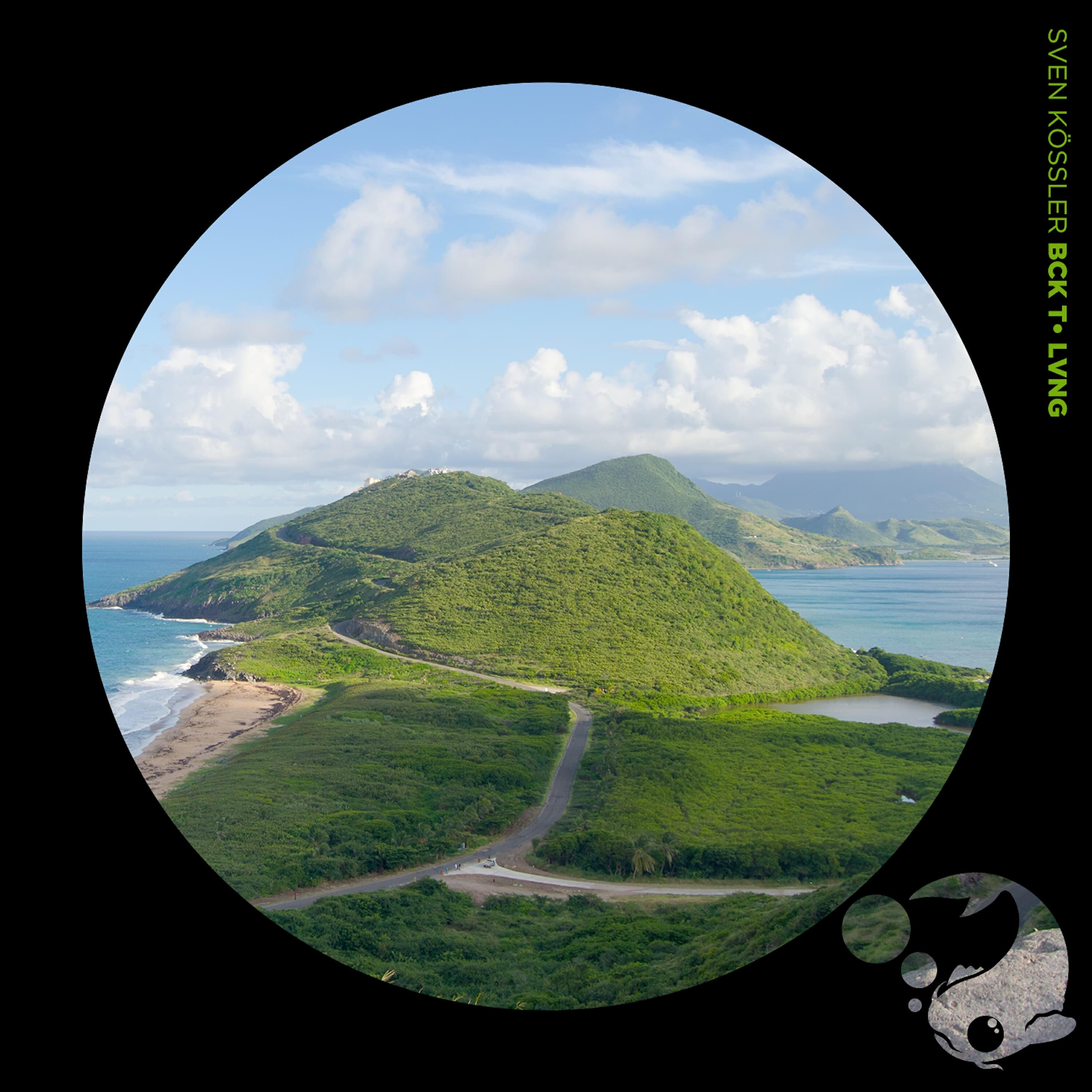 Релиз Bck T• Lvng